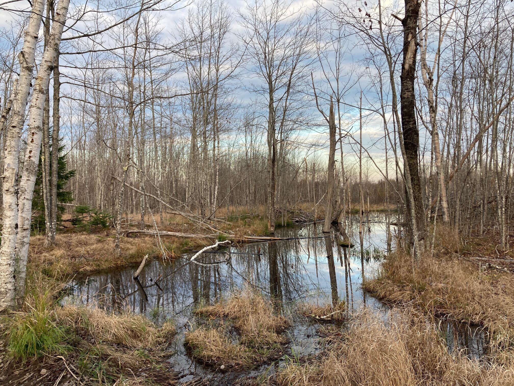 Lot 3 W. Mcmann & Porcupine Hill Road Property Photo 13