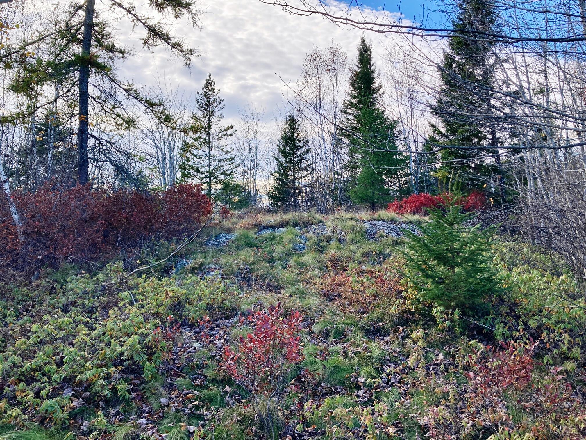 Lot 3 W. Mcmann & Porcupine Hill Road Property Photo 15