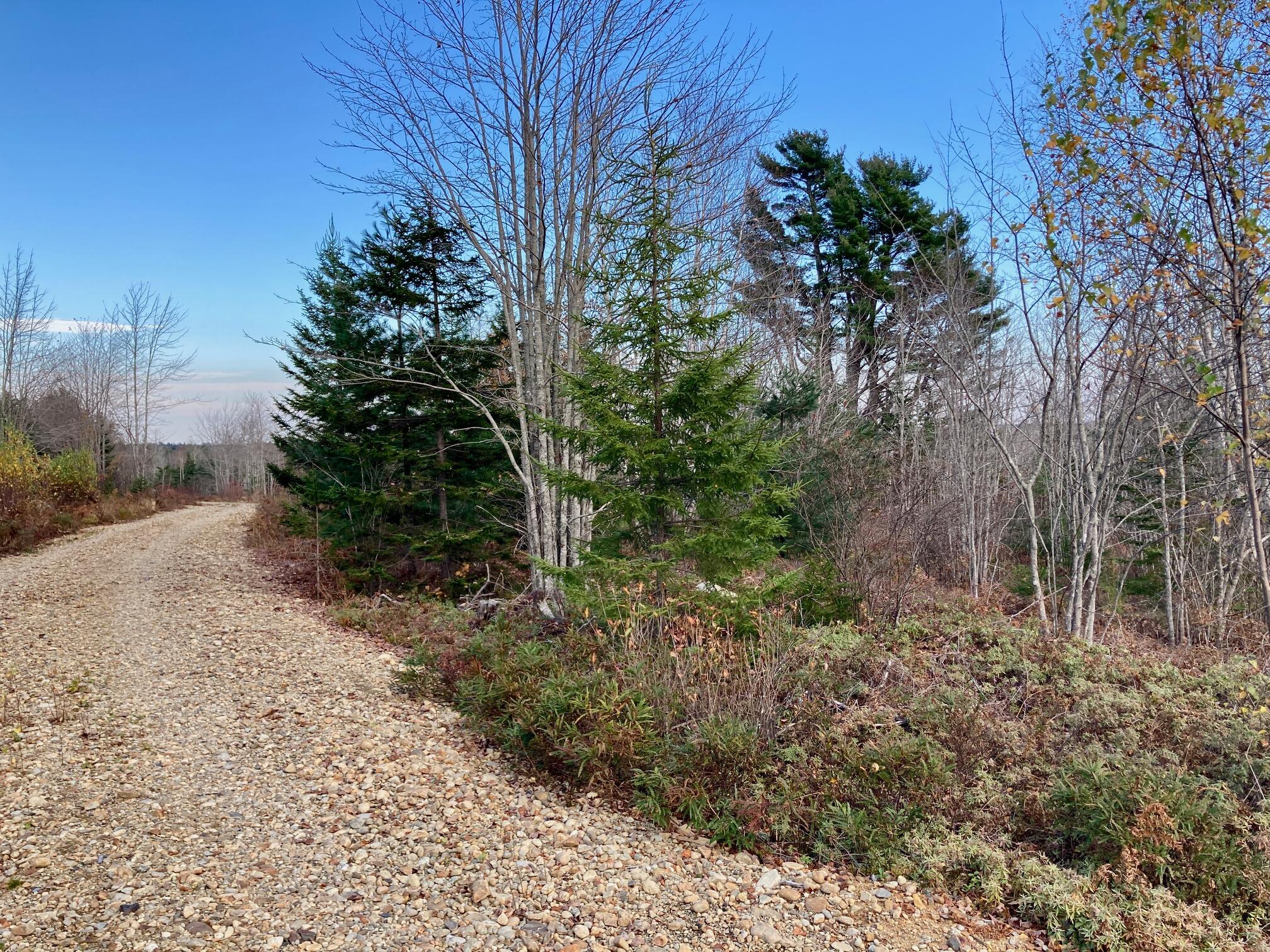 Lot 3 W. Mcmann & Porcupine Hill Road Property Photo 17