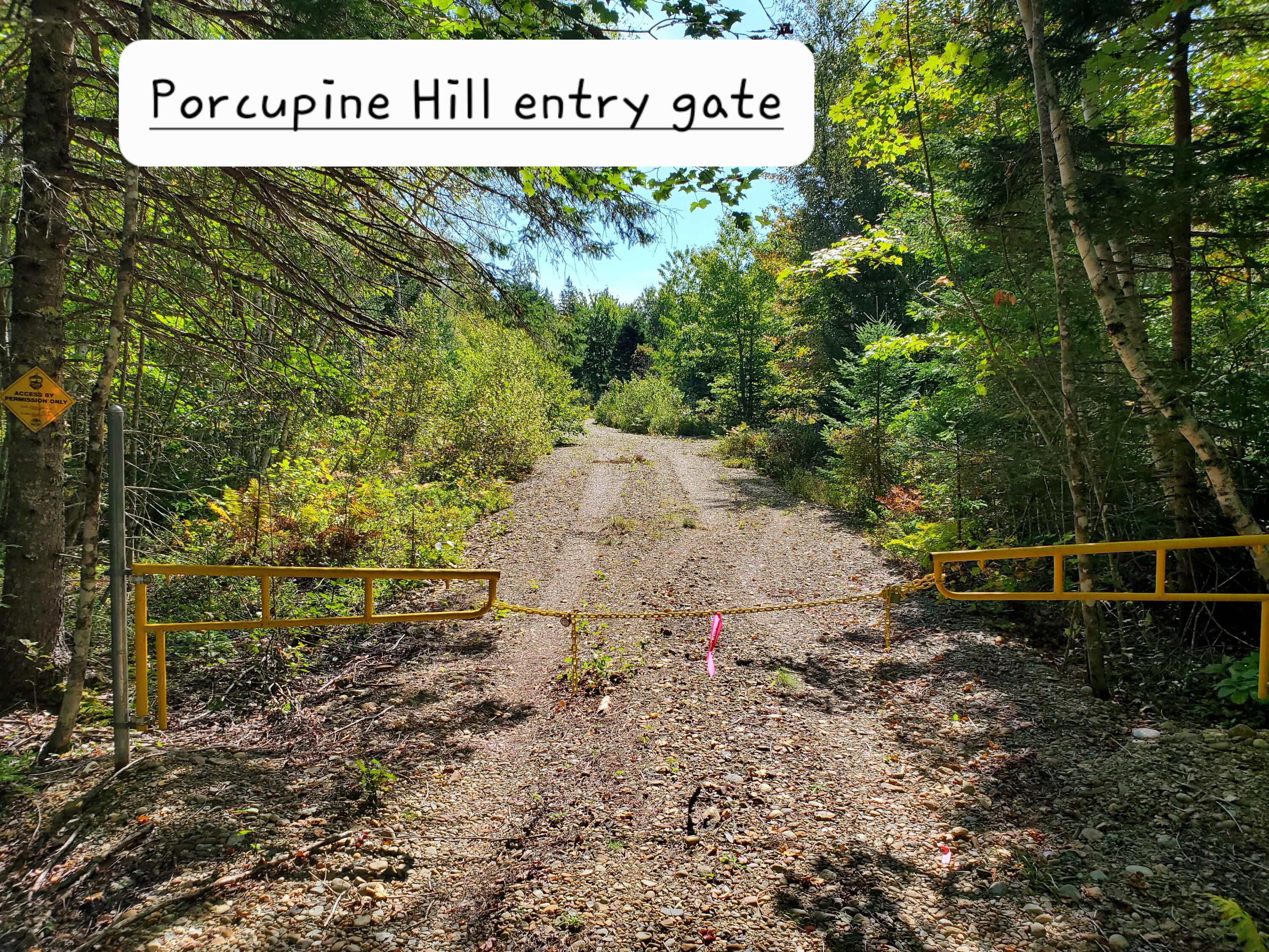 Lot 3 W. Mcmann & Porcupine Hill Road Property Photo 32
