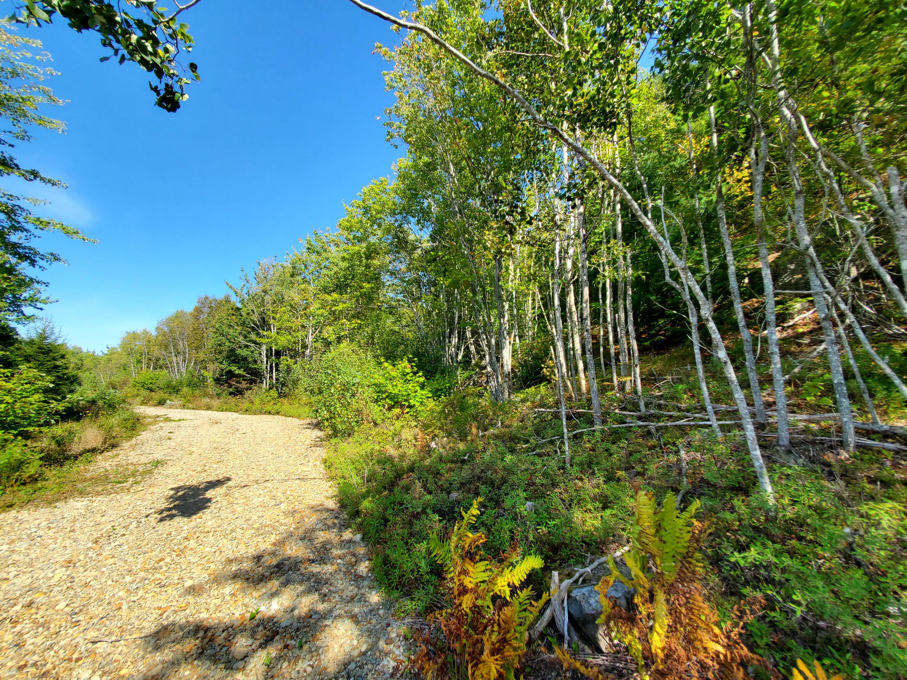 Lot 3 W. Mcmann & Porcupine Hill Road Property Photo 33