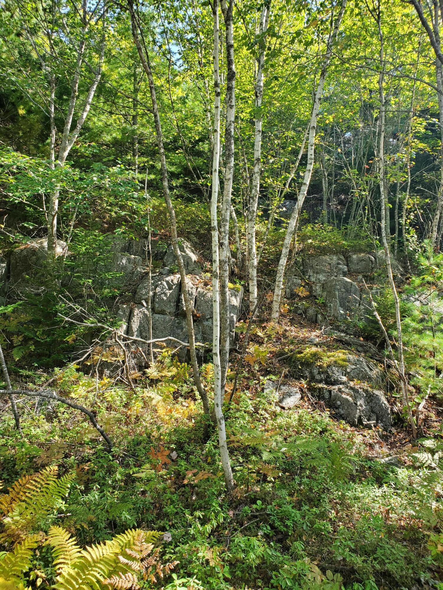 Lot 3 W. Mcmann & Porcupine Hill Road Property Photo 34