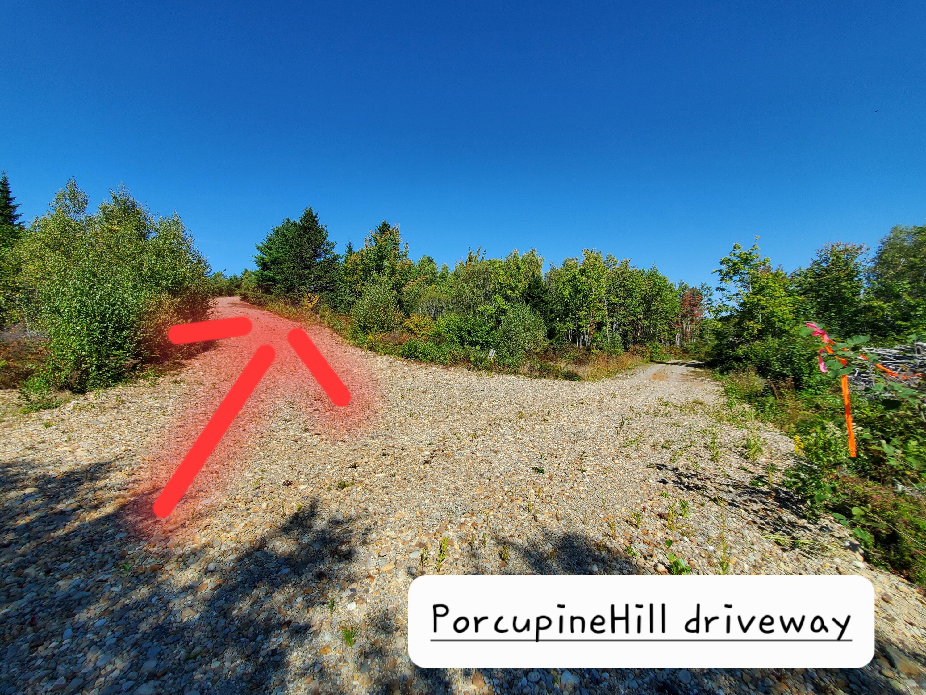 Lot 3 W. Mcmann & Porcupine Hill Road Property Photo 38