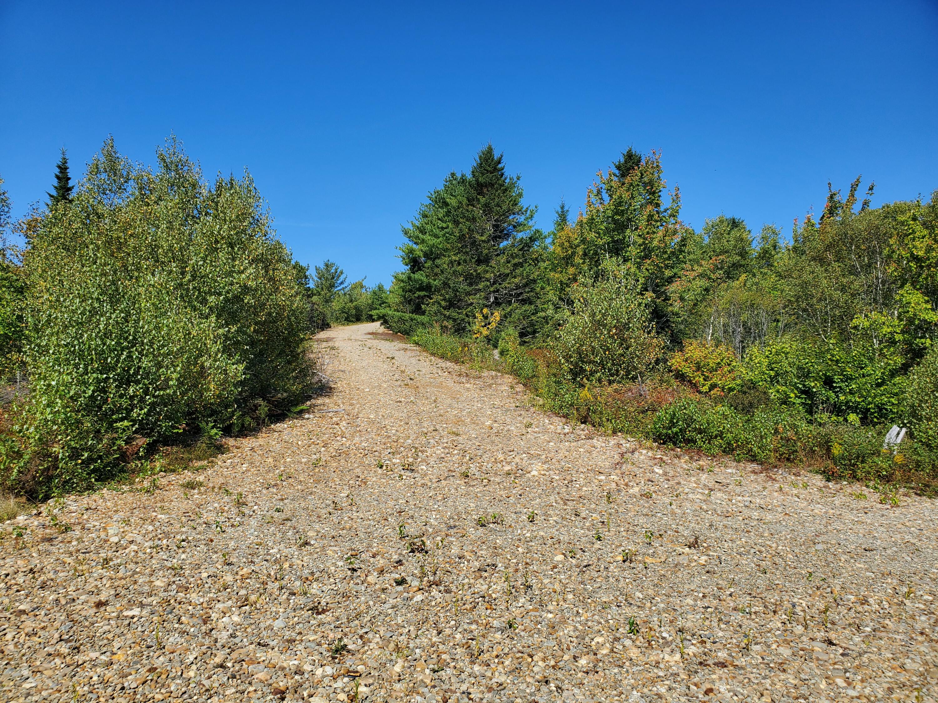 Lot 3 W. Mcmann & Porcupine Hill Road Property Photo 40