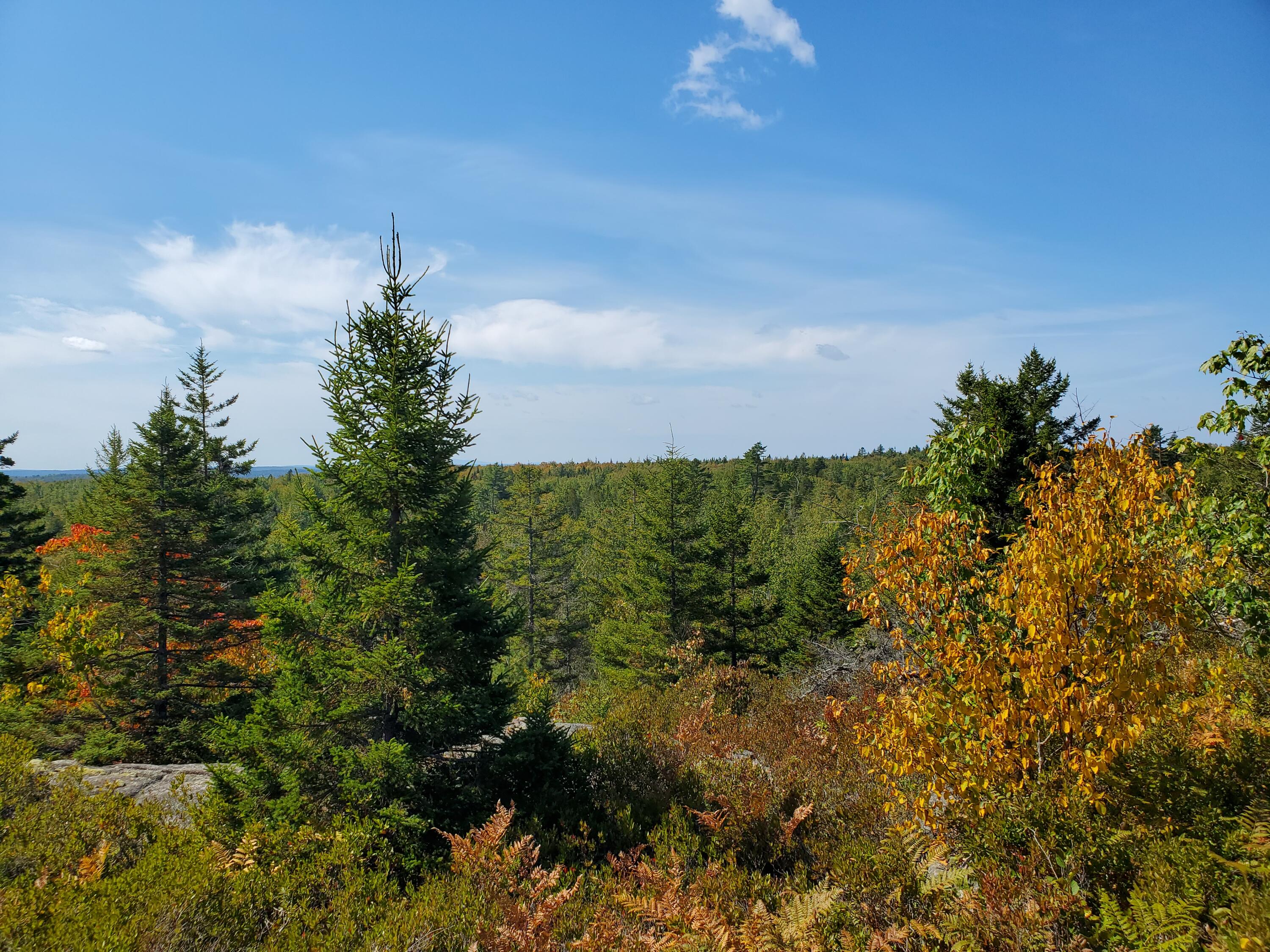 Lot 3 W. Mcmann & Porcupine Hill Road Property Photo 53