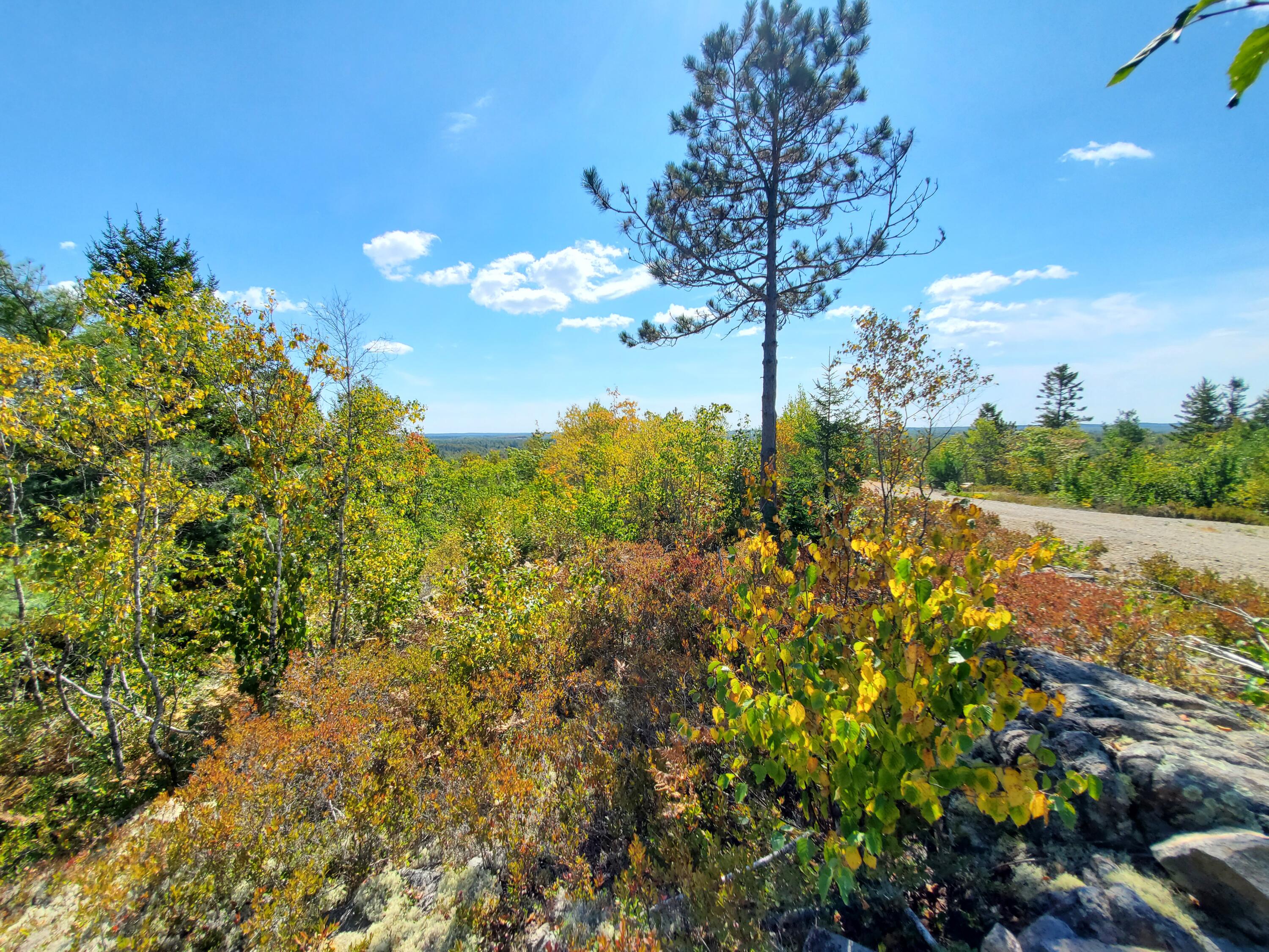 Lot 3 W. Mcmann & Porcupine Hill Road Property Photo 56