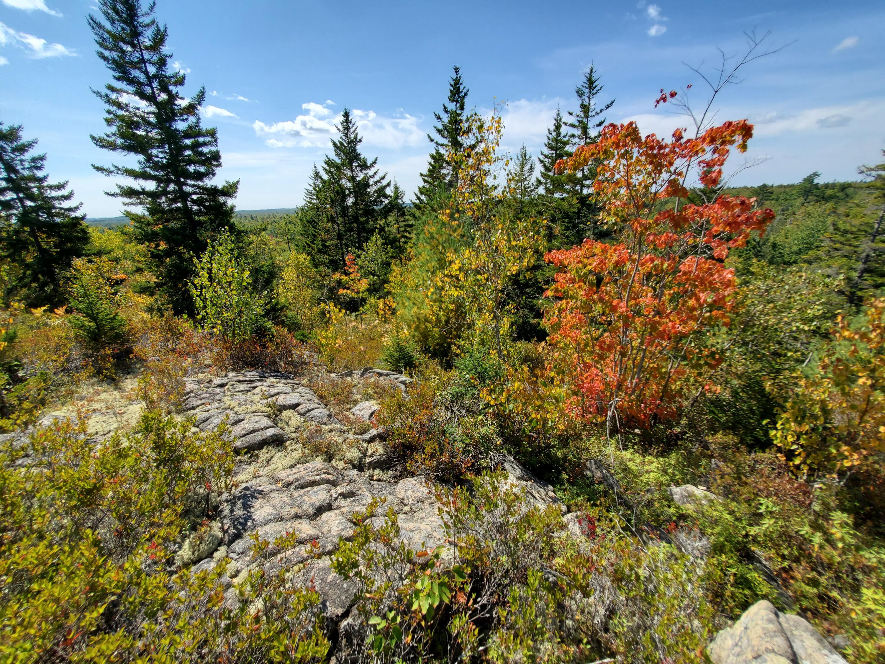 Lot 3 W. Mcmann & Porcupine Hill Road Property Photo 58