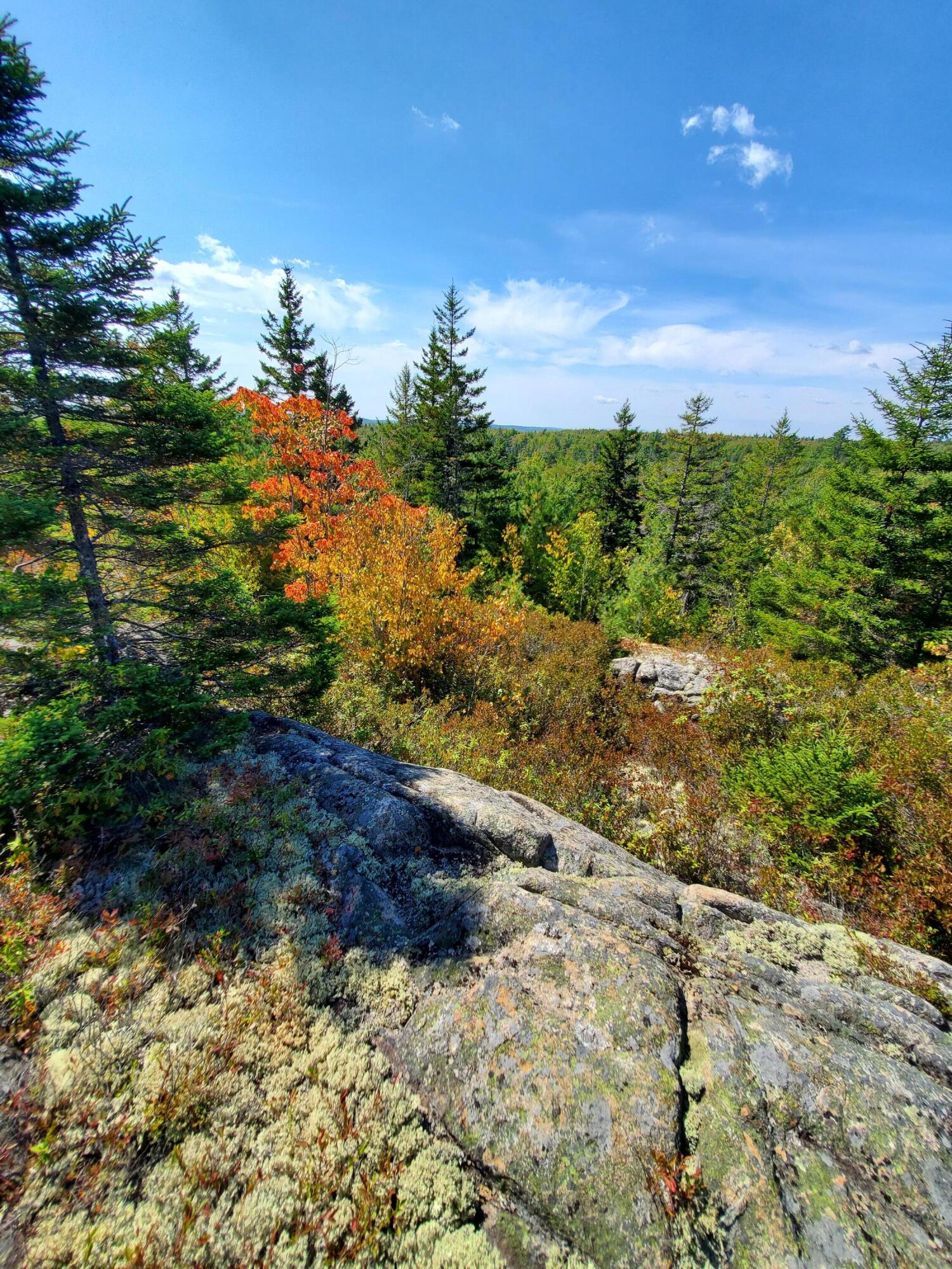 Lot 3 W. Mcmann & Porcupine Hill Road Property Photo 60