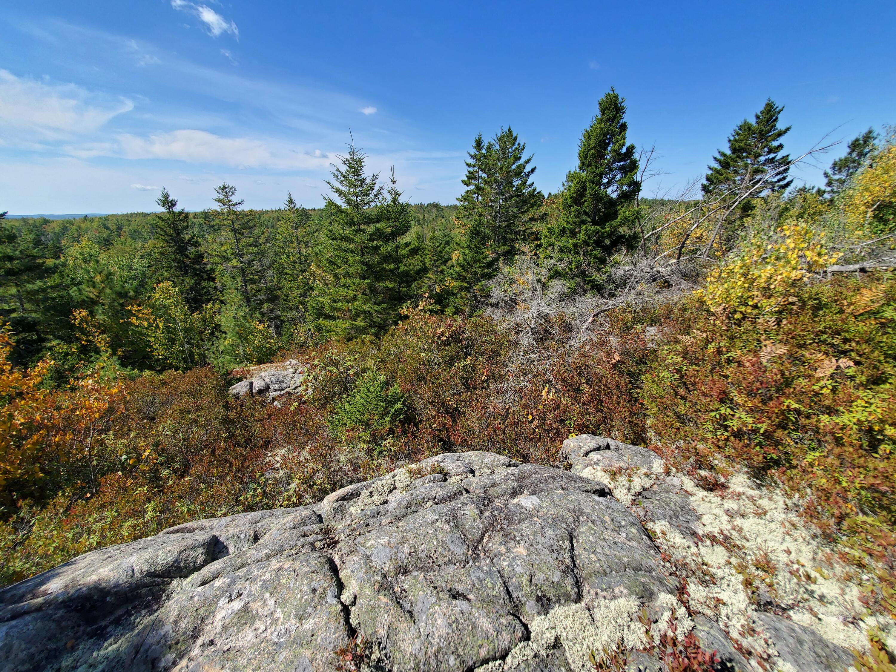 Lot 3 W. Mcmann & Porcupine Hill Road Property Photo 61
