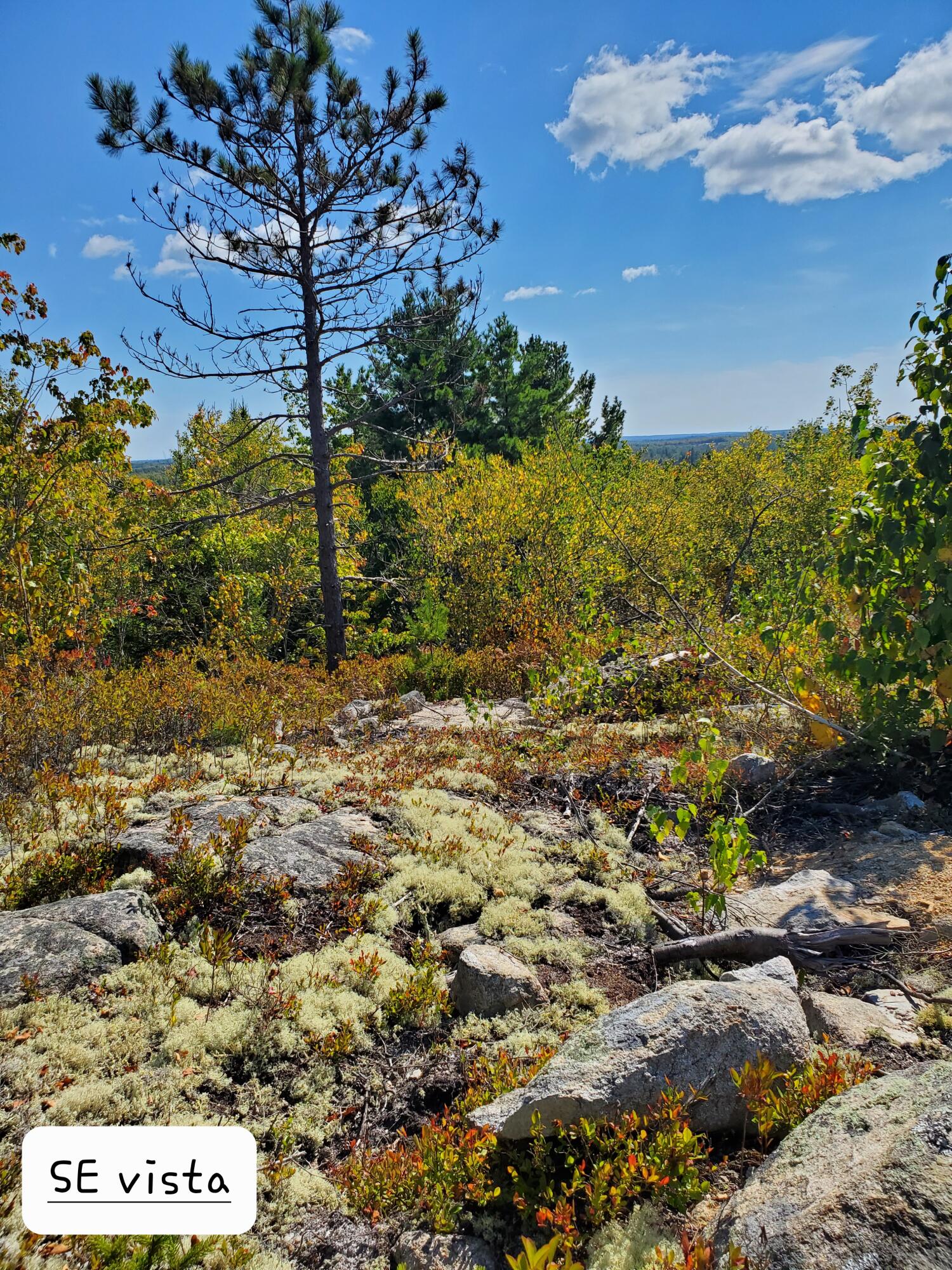 Lot 3 W. Mcmann & Porcupine Hill Road Property Photo 63