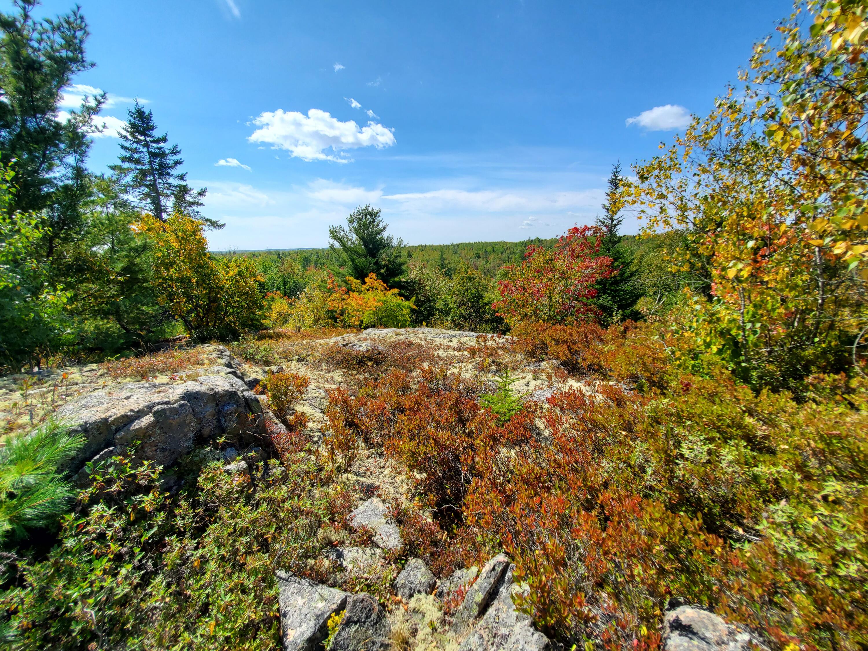 Lot 3 W. Mcmann & Porcupine Hill Road Property Photo 67