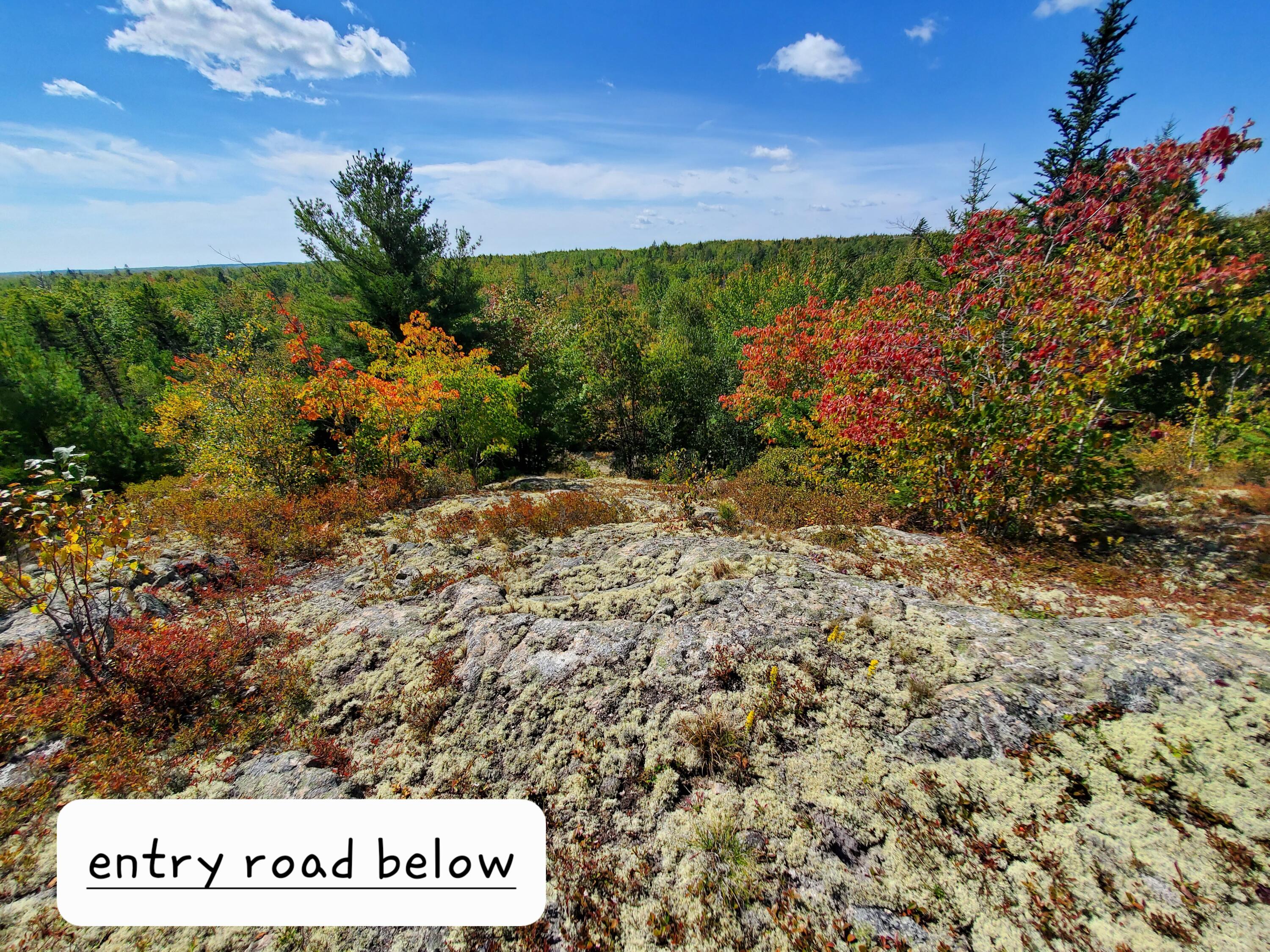 Lot 3 W. Mcmann & Porcupine Hill Road Property Photo 68