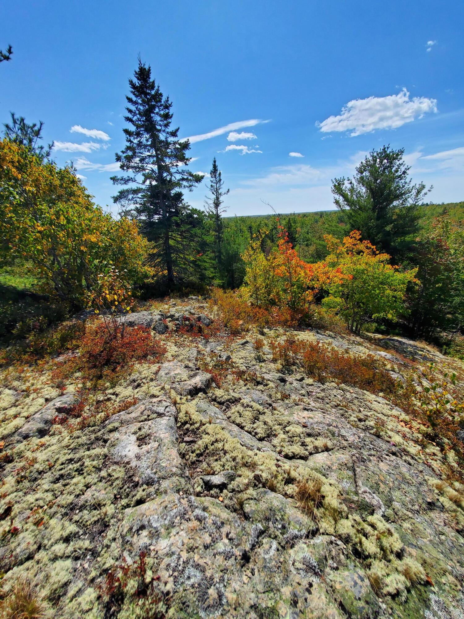 Lot 3 W. Mcmann & Porcupine Hill Road Property Photo 69