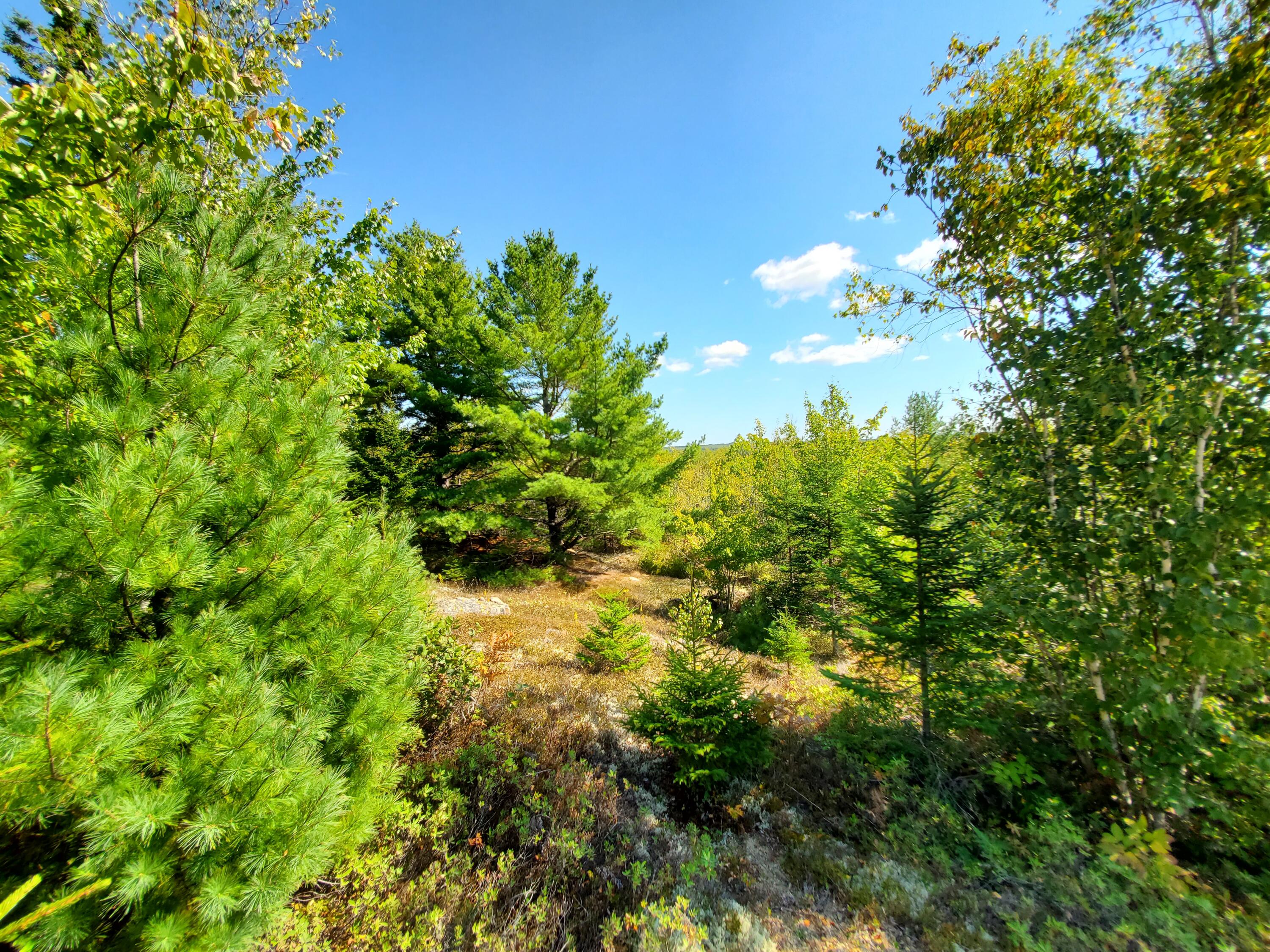 Lot 3 W. Mcmann & Porcupine Hill Road Property Photo 70