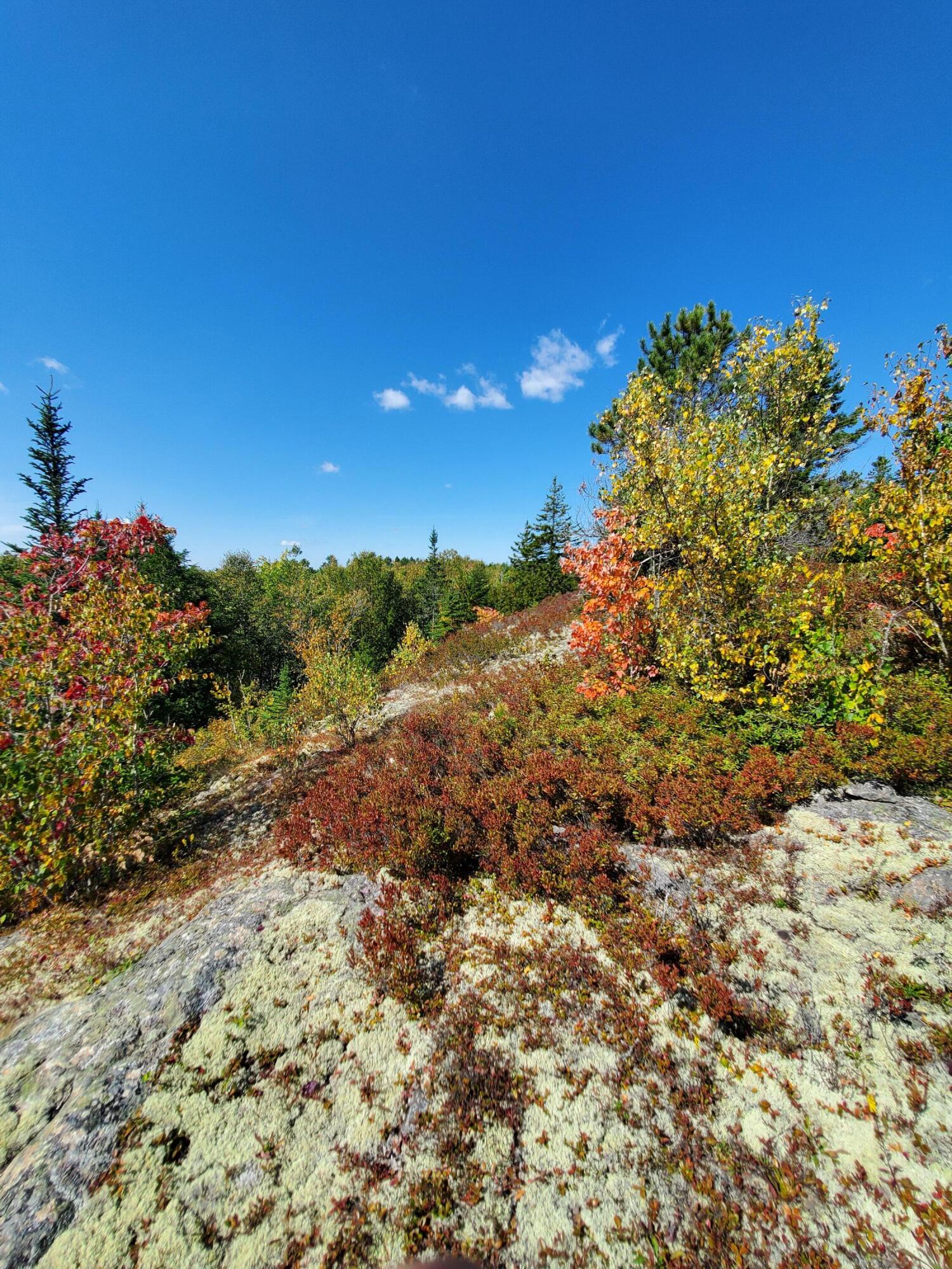 Lot 3 W. Mcmann & Porcupine Hill Road Property Photo 72