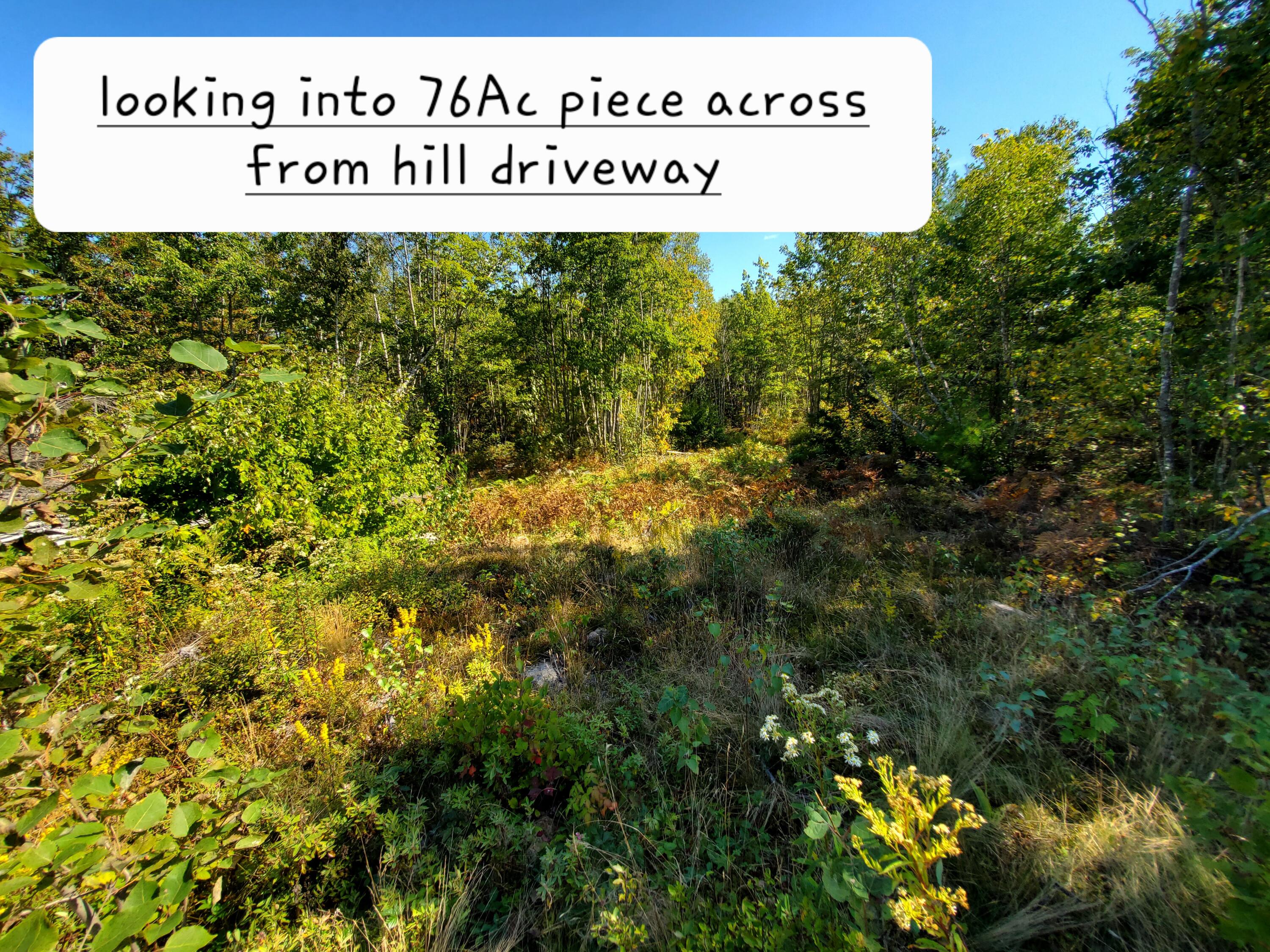Lot 3 W. Mcmann & Porcupine Hill Road Property Photo 73
