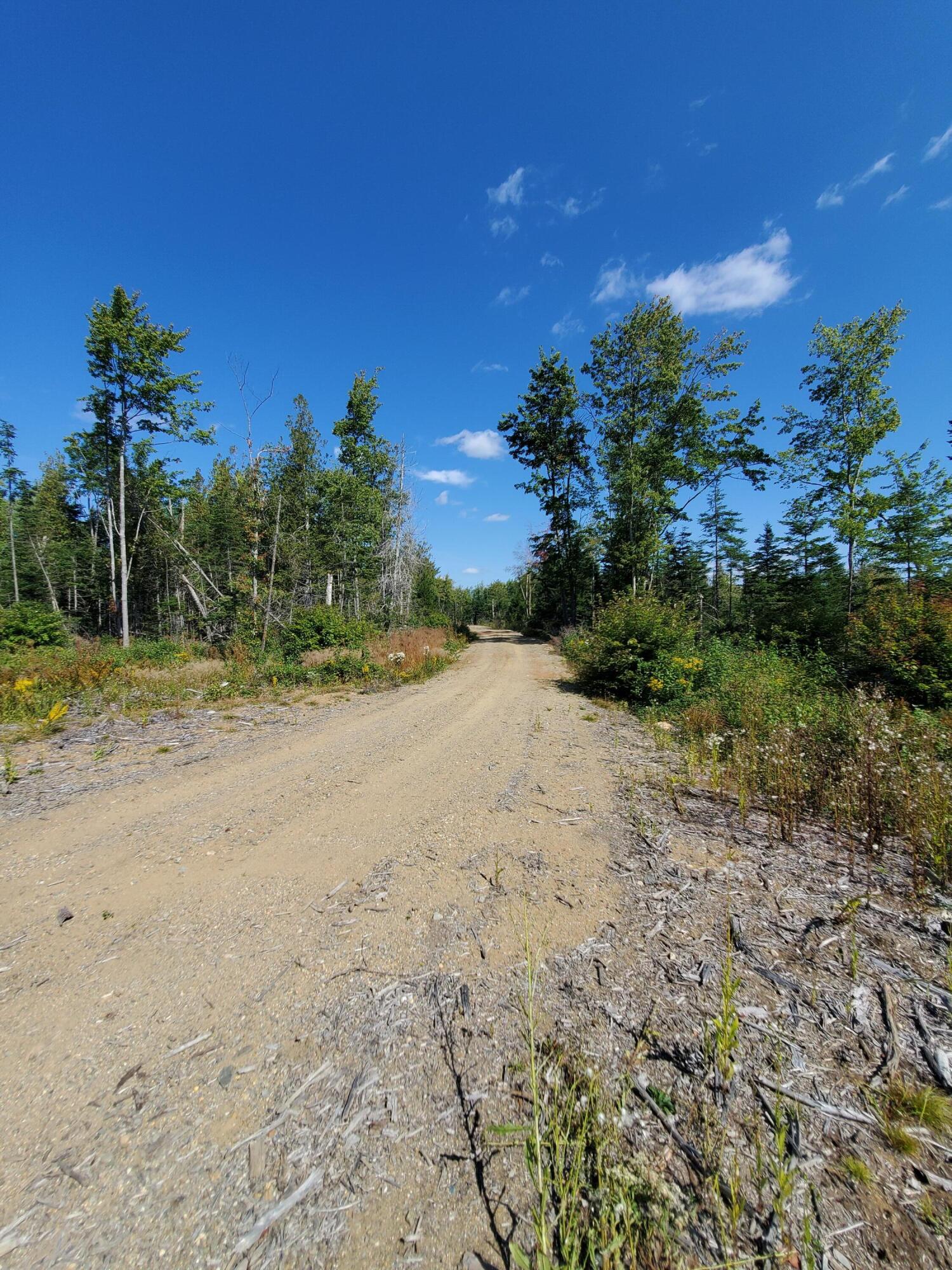 Lot 3 W. Mcmann & Porcupine Hill Road Property Photo 74