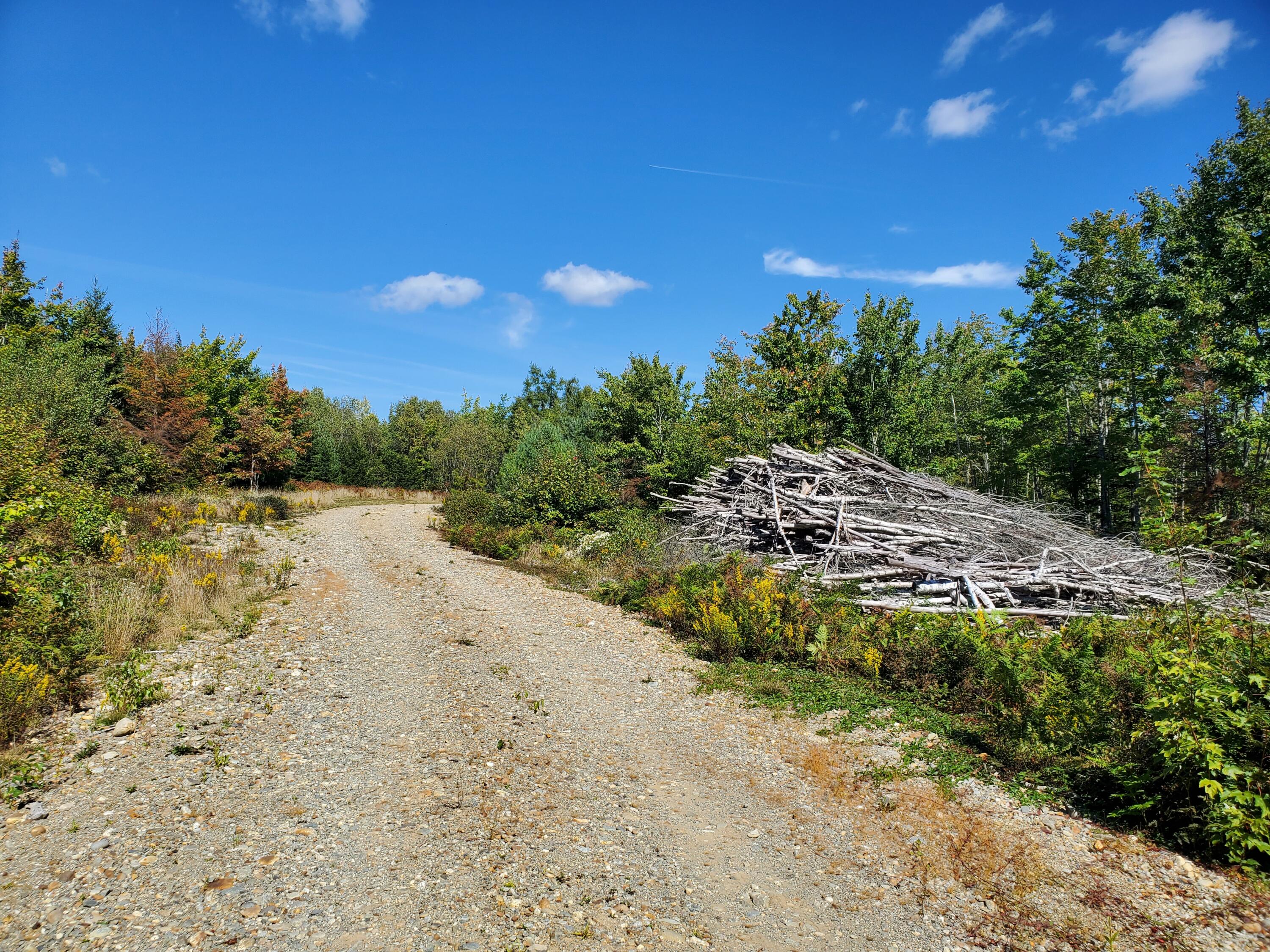 Lot 3 W. Mcmann & Porcupine Hill Road Property Photo 75
