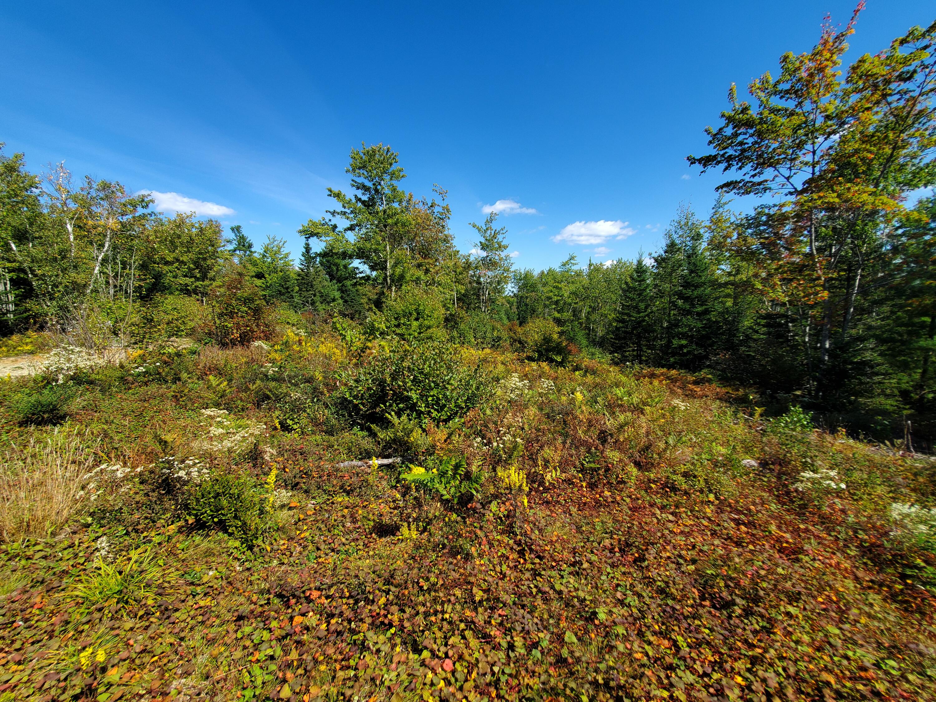 Lot 3 W. Mcmann & Porcupine Hill Road Property Photo 81