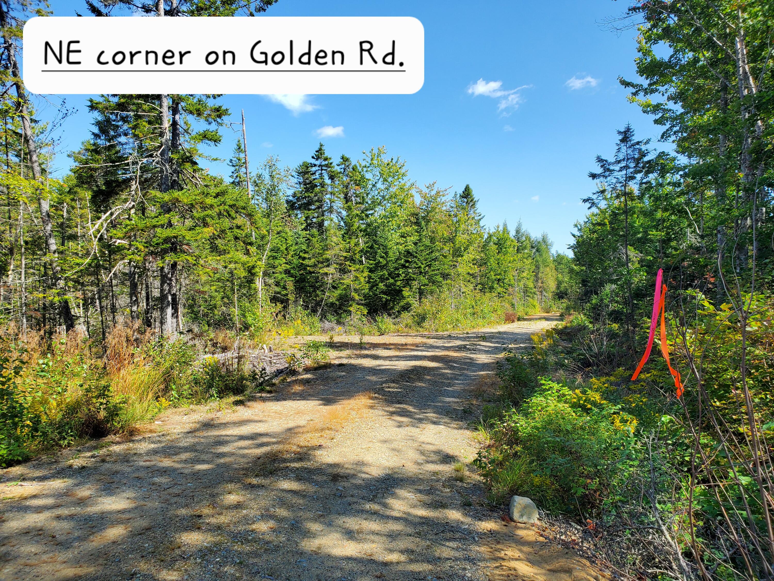 Lot 3 W. Mcmann & Porcupine Hill Road Property Photo 87