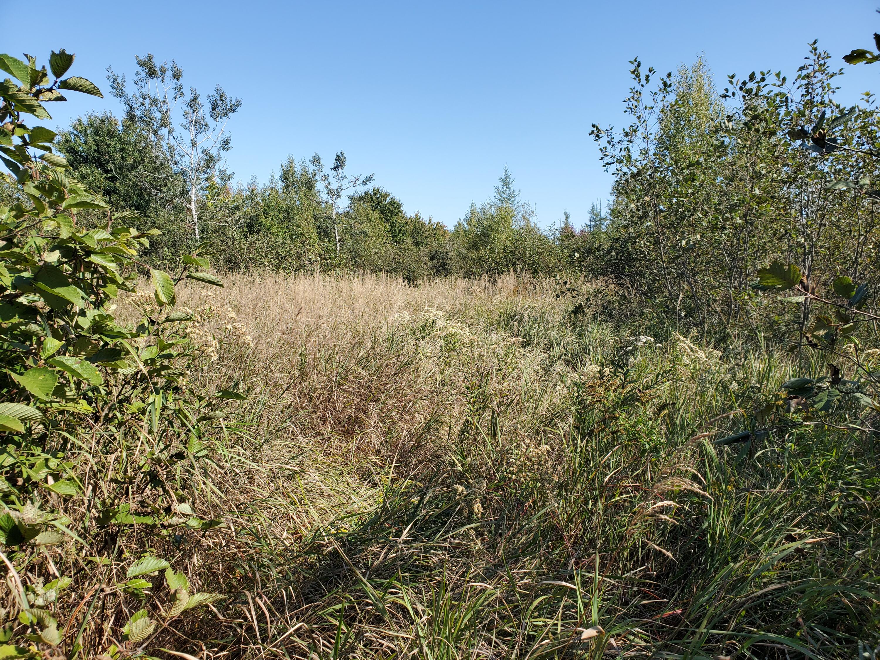 Lot 3 W. Mcmann & Porcupine Hill Road Property Photo 89