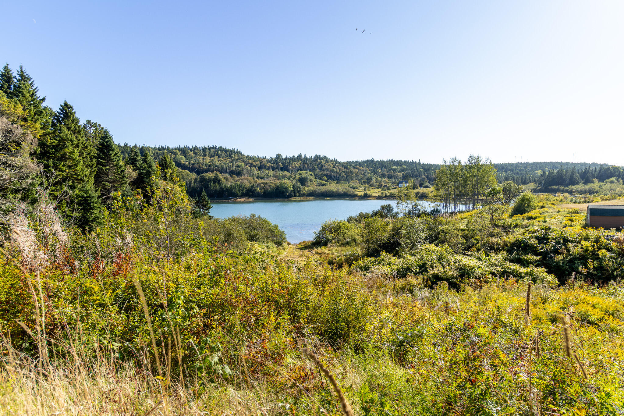 2487 Cutler Road Property Photo 17