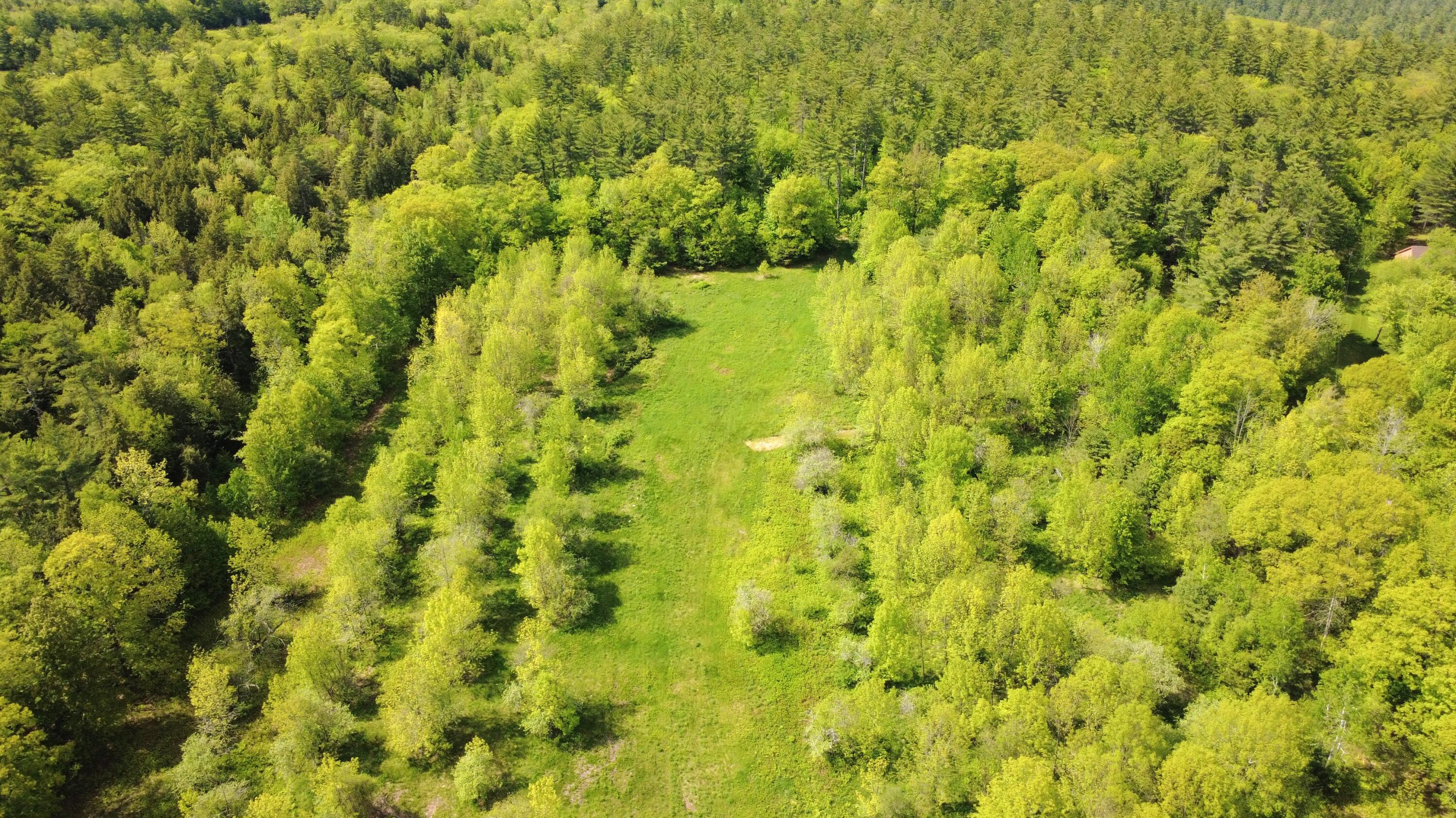 Lot 11 Chadbourne Road Property Photo 3