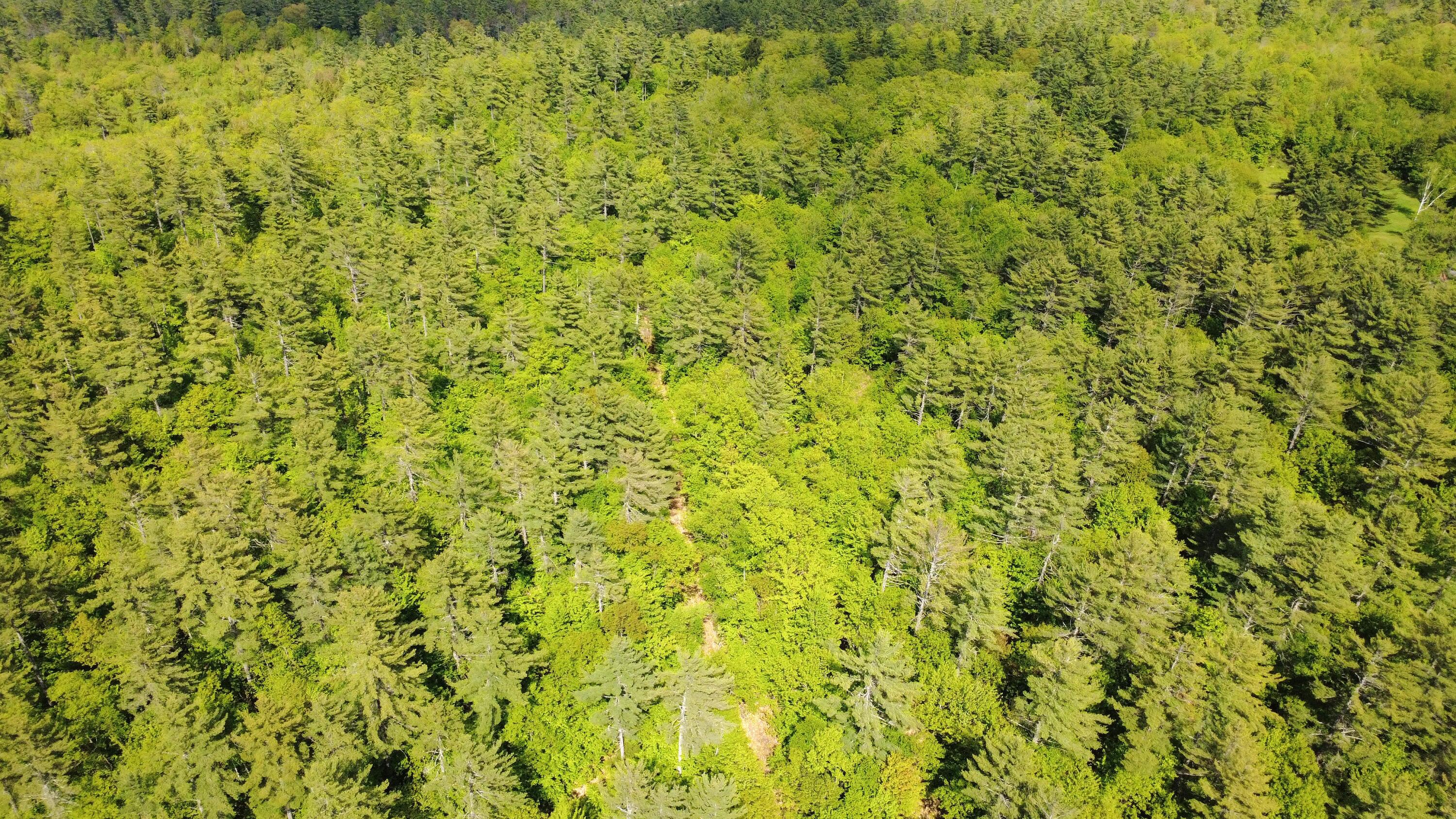 Lot 11 Chadbourne Road Property Photo 9