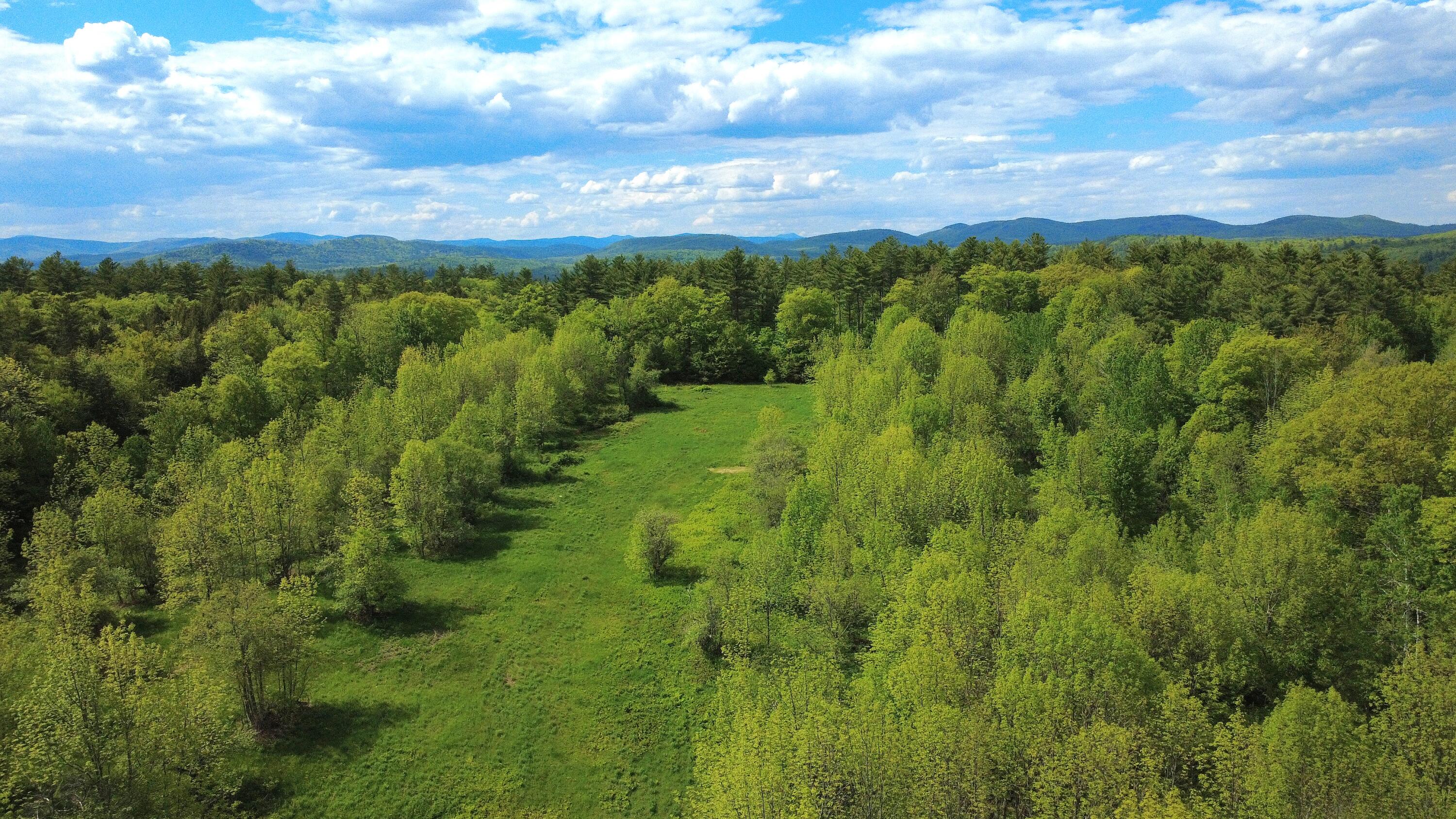 Lot 11 Chadbourne Road Property Photo 14