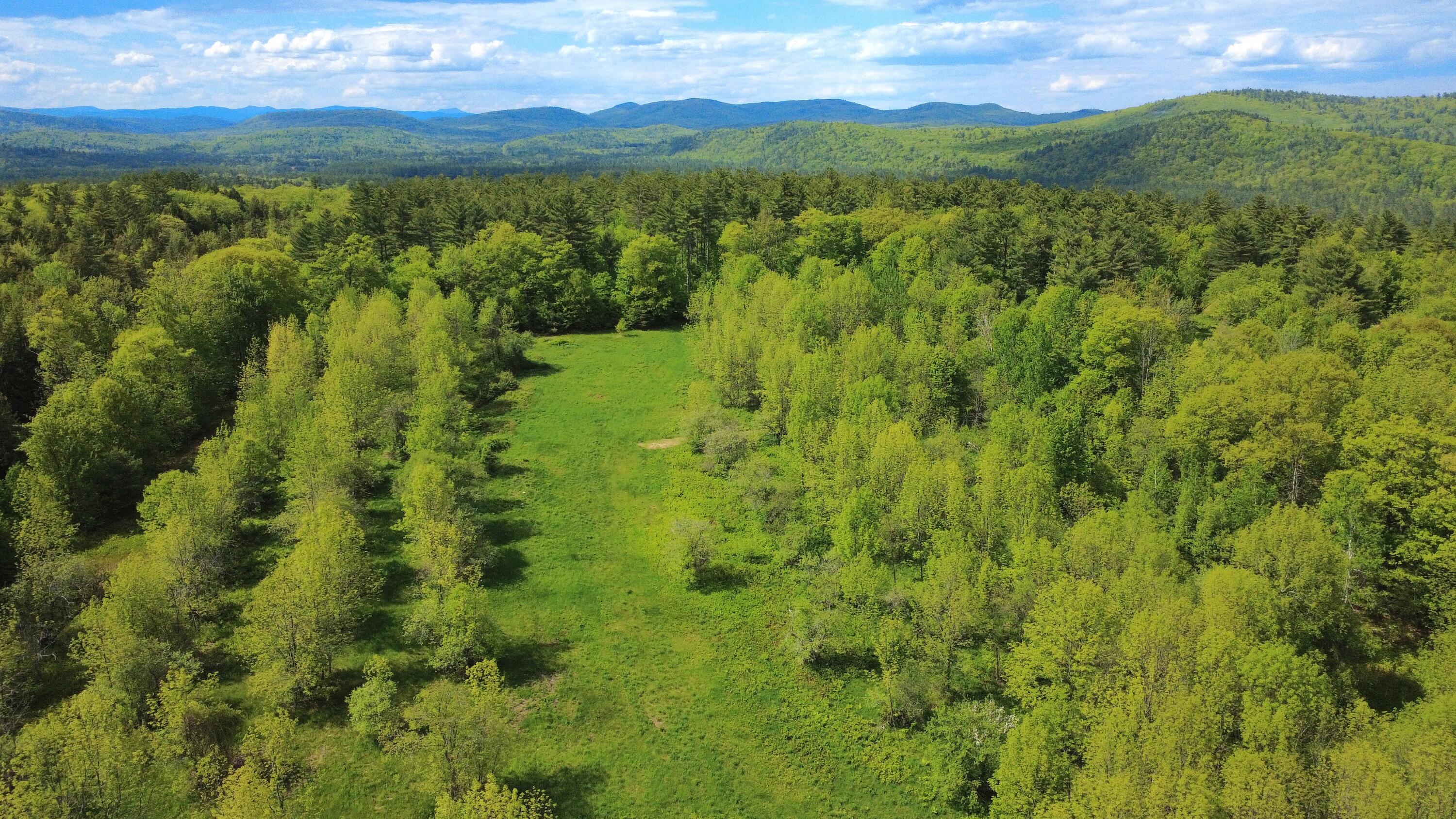 Lot 11 Chadbourne Road Property Photo 15