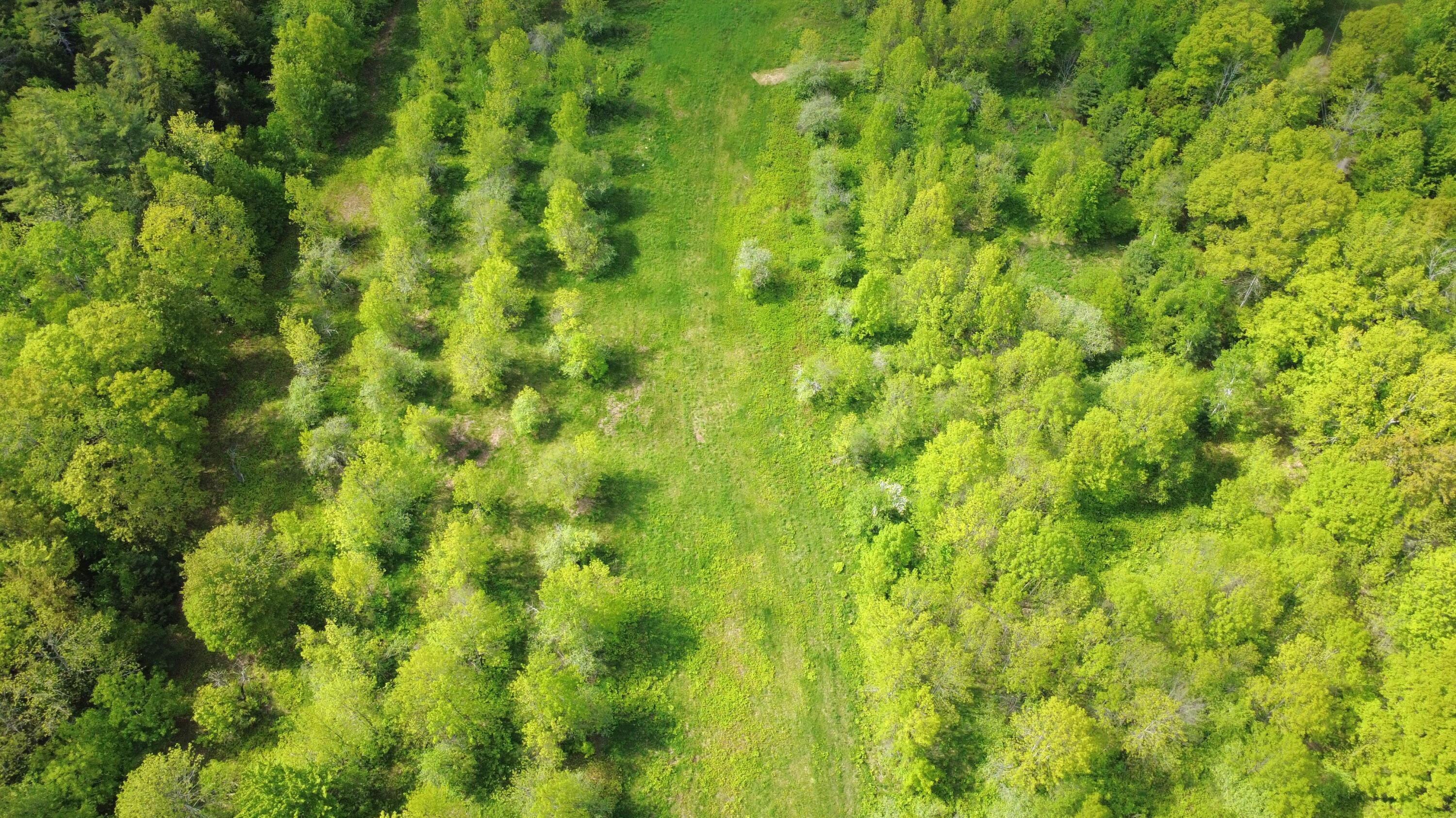 Lot 11 Chadbourne Road Property Photo 16