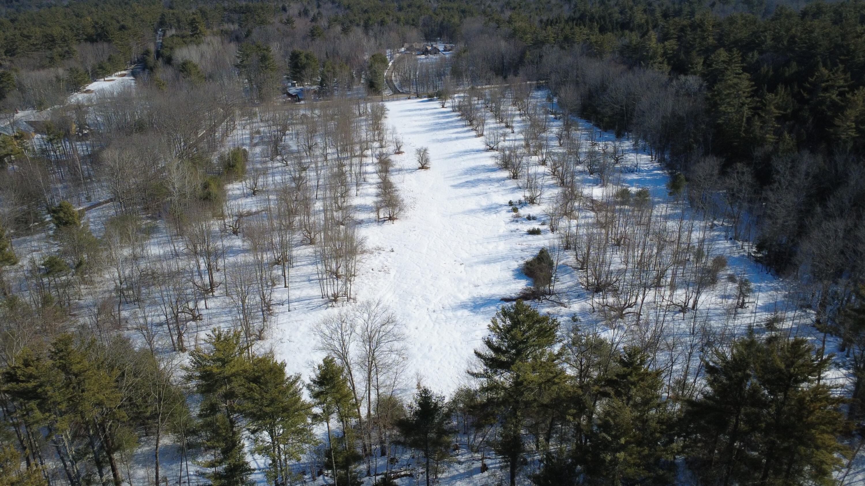 Lot 11 Chadbourne Road Property Photo 17