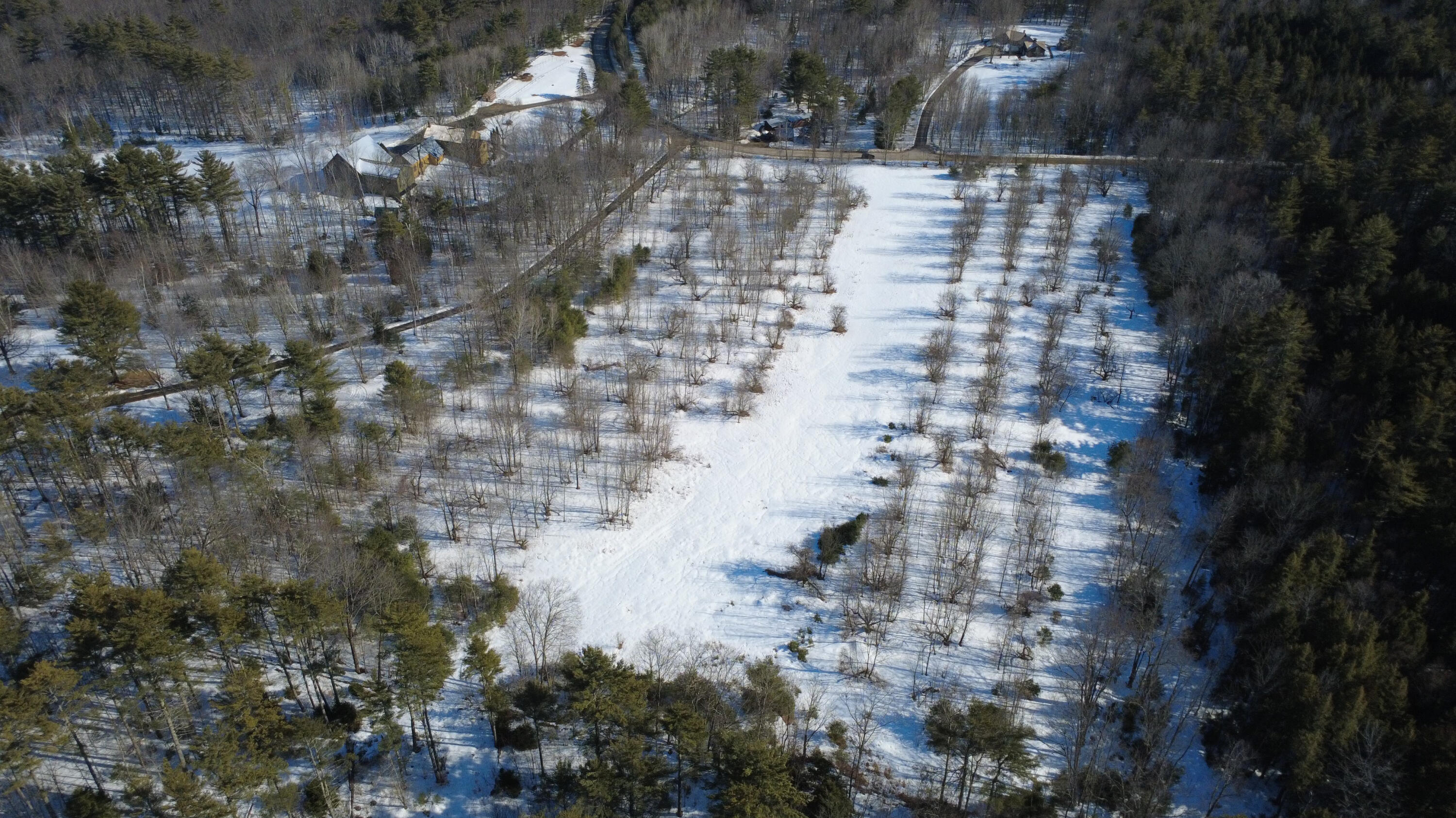 Lot 11 Chadbourne Road Property Photo 18