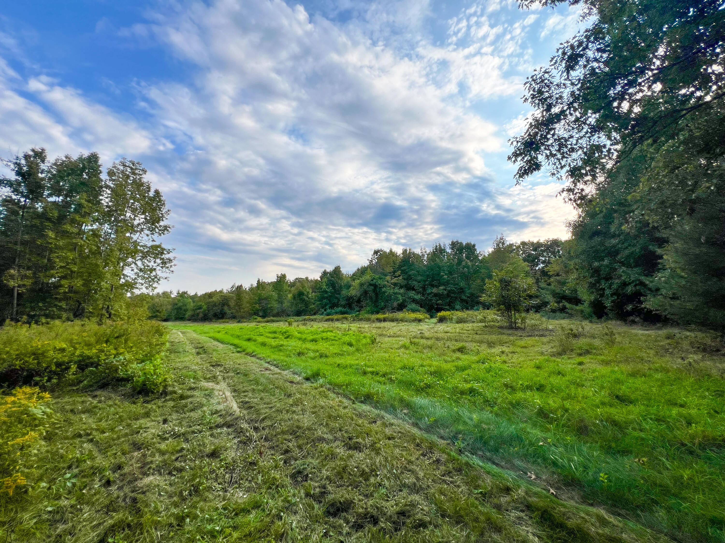 Lot 11 Chadbourne Road Property Photo 22