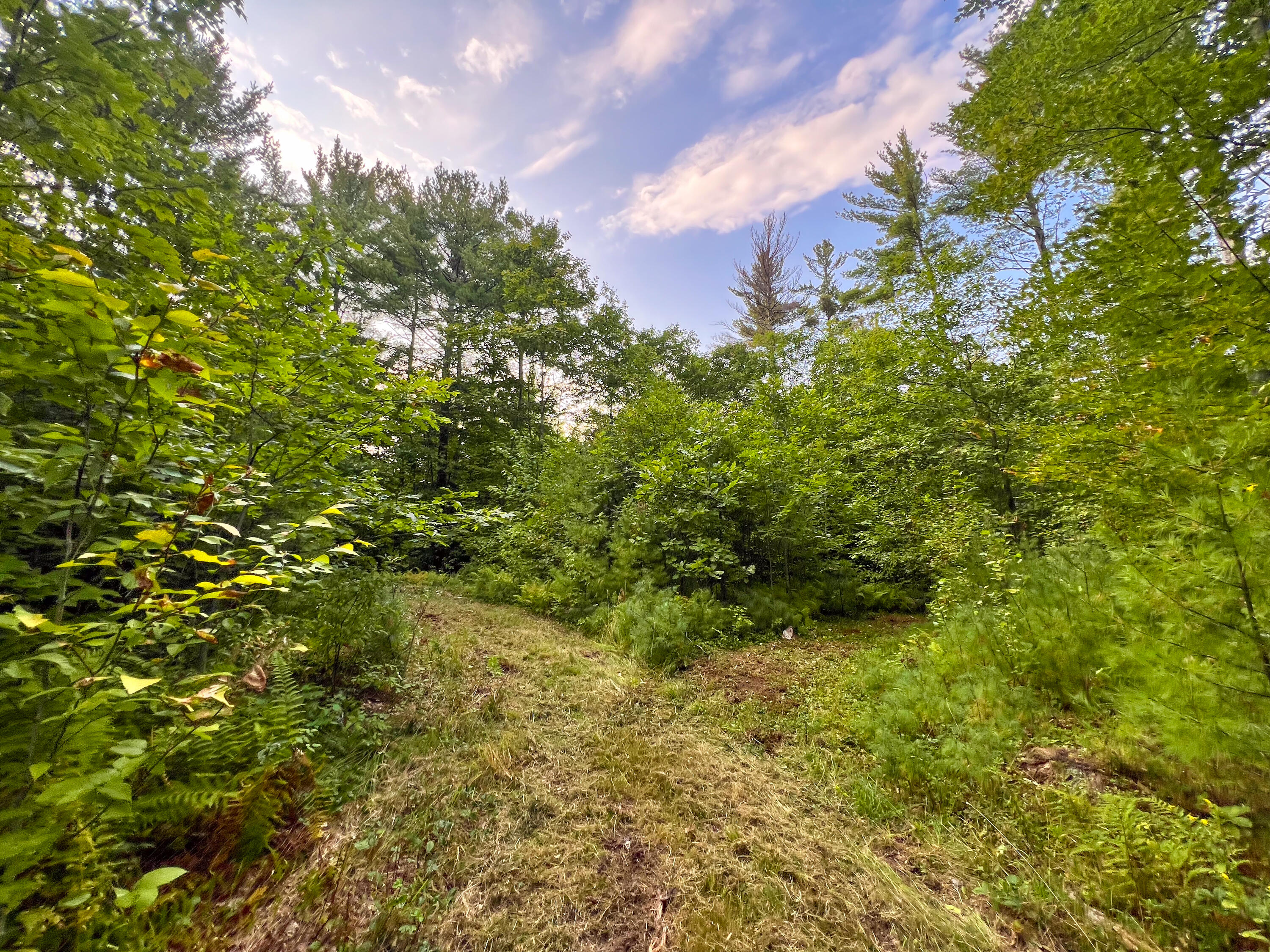 Lot 11 Chadbourne Road Property Photo 23