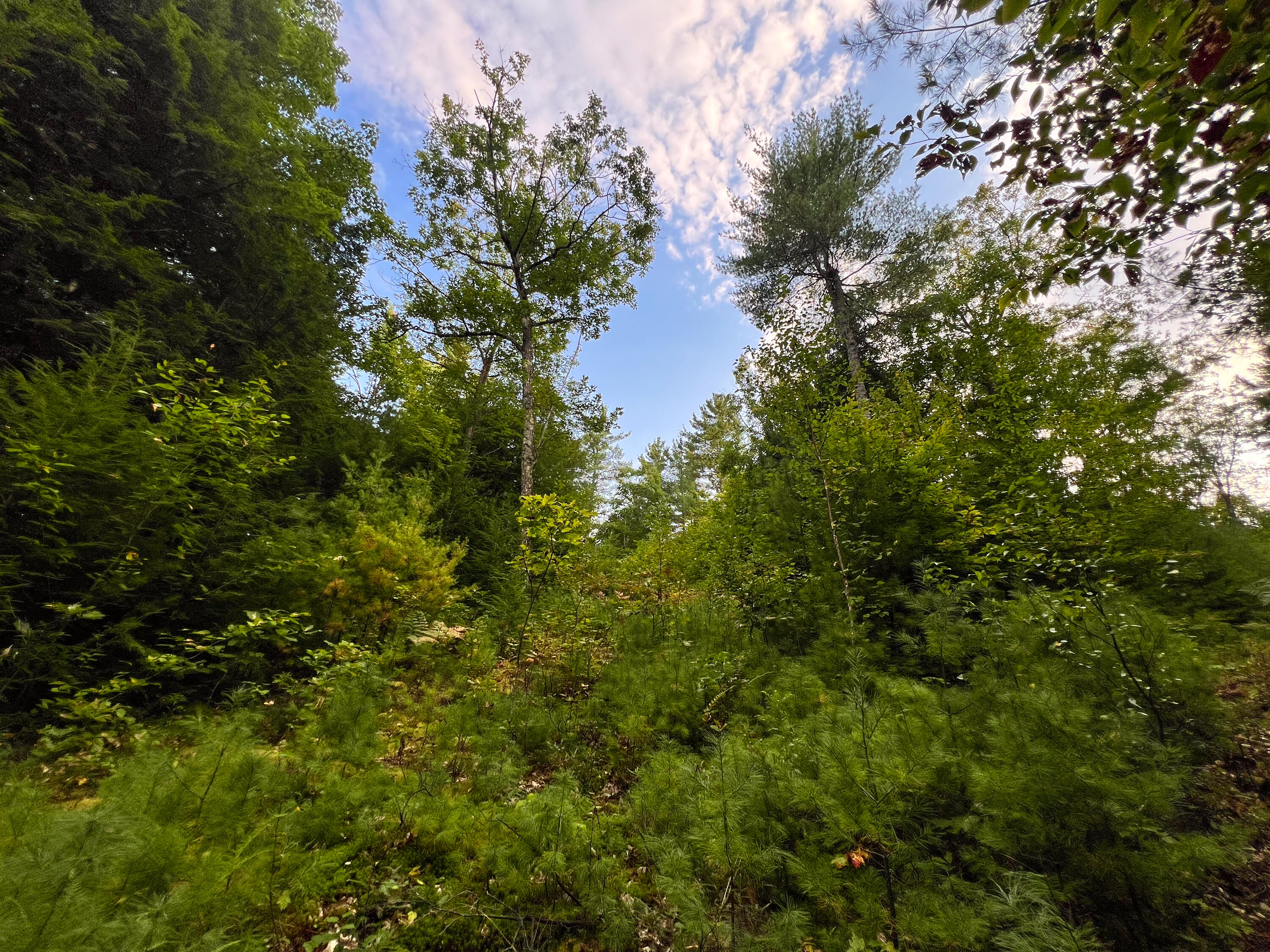 Lot 11 Chadbourne Road Property Photo 24