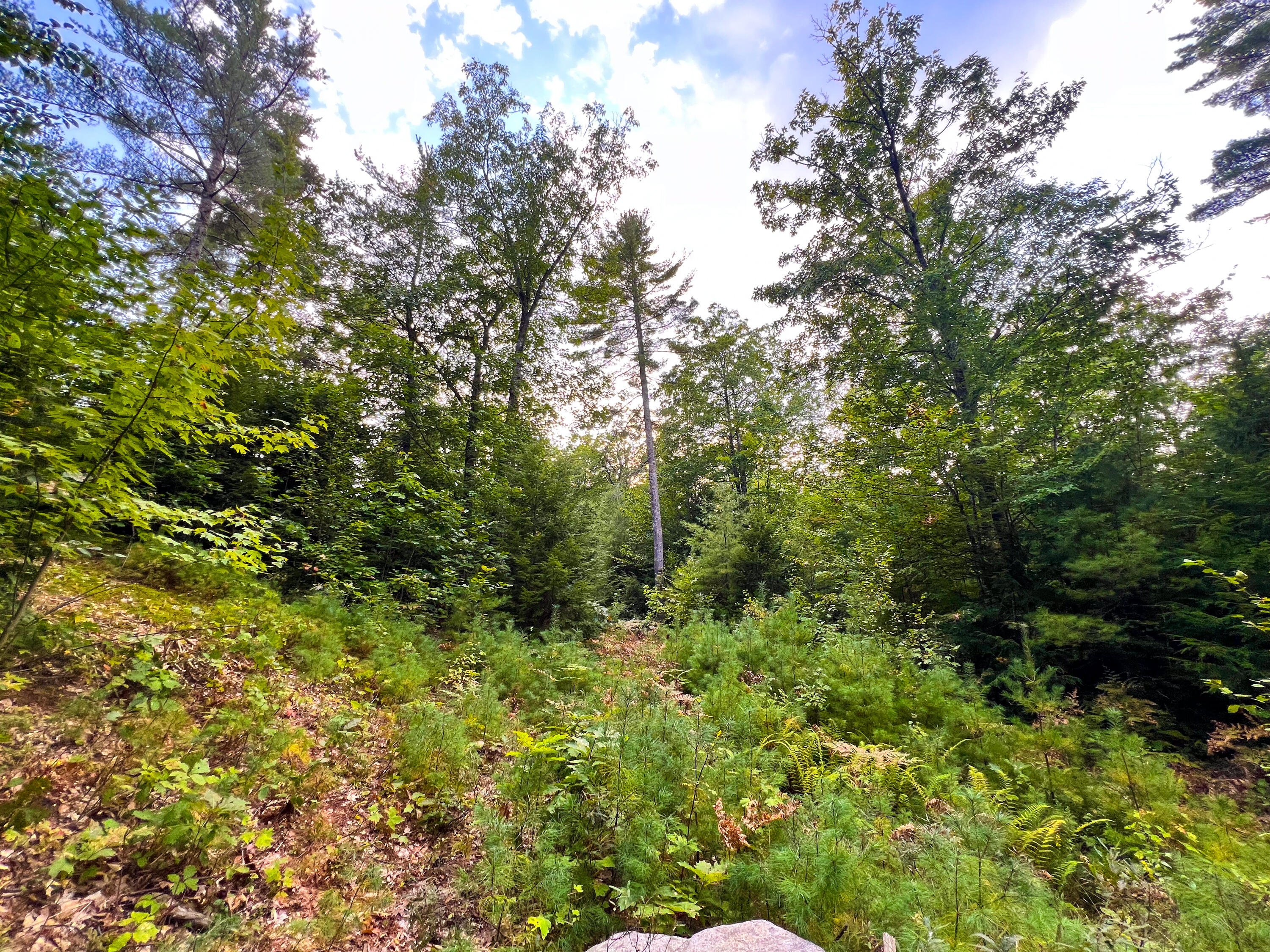 Lot 11 Chadbourne Road Property Photo 25