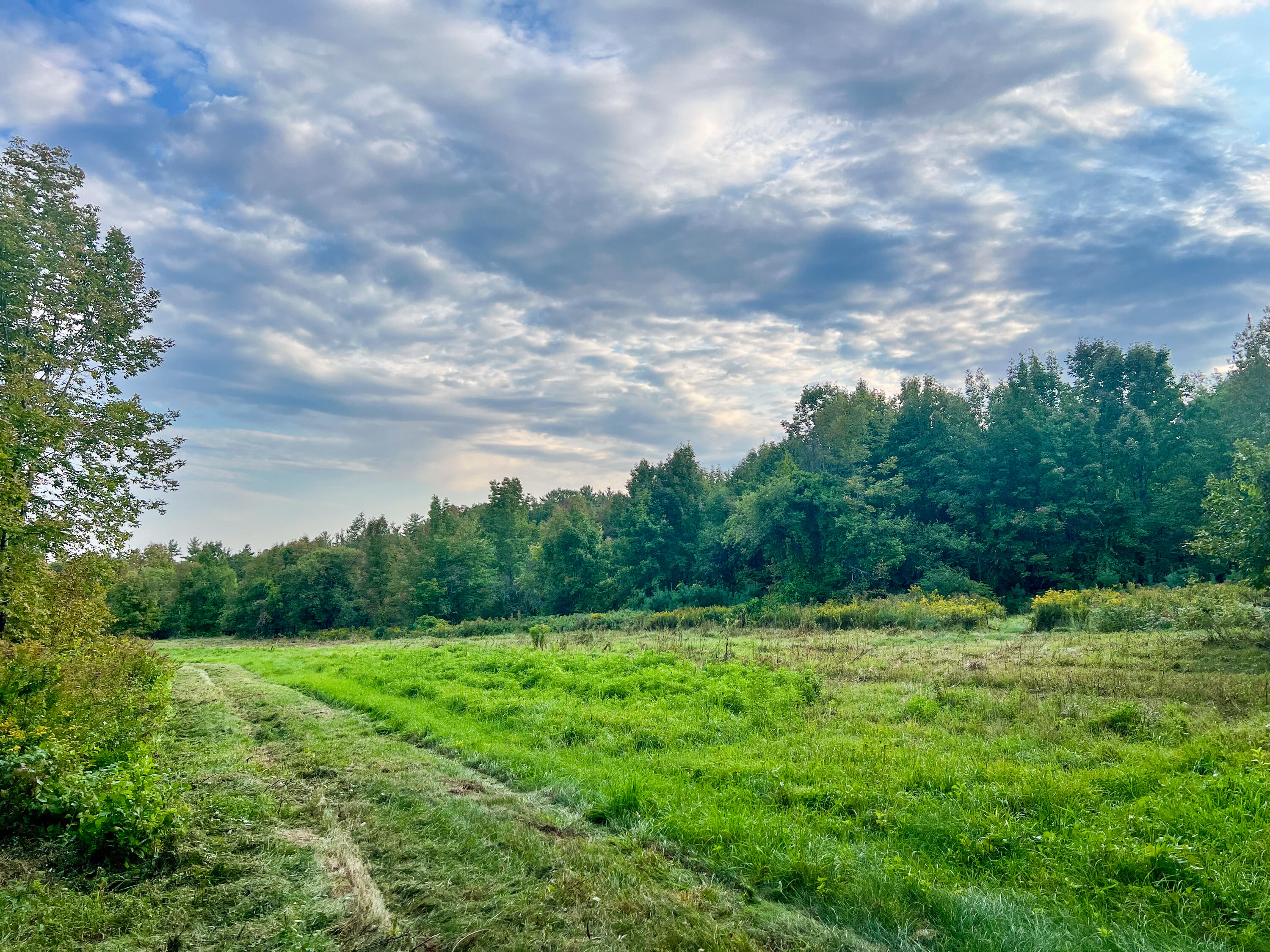 Lot 11 Chadbourne Road Property Photo 26