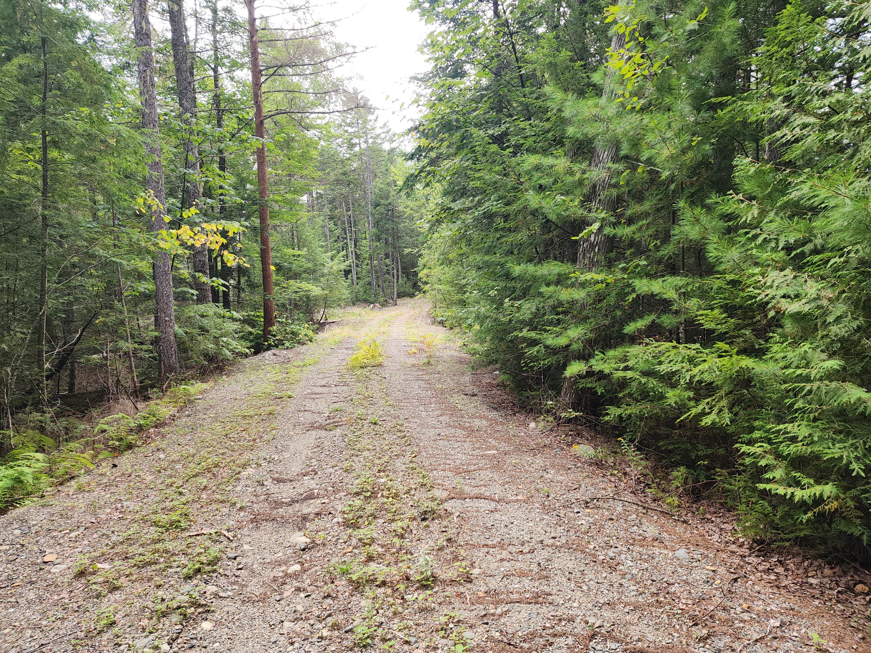 0 Cody's Lane Property Photo 4