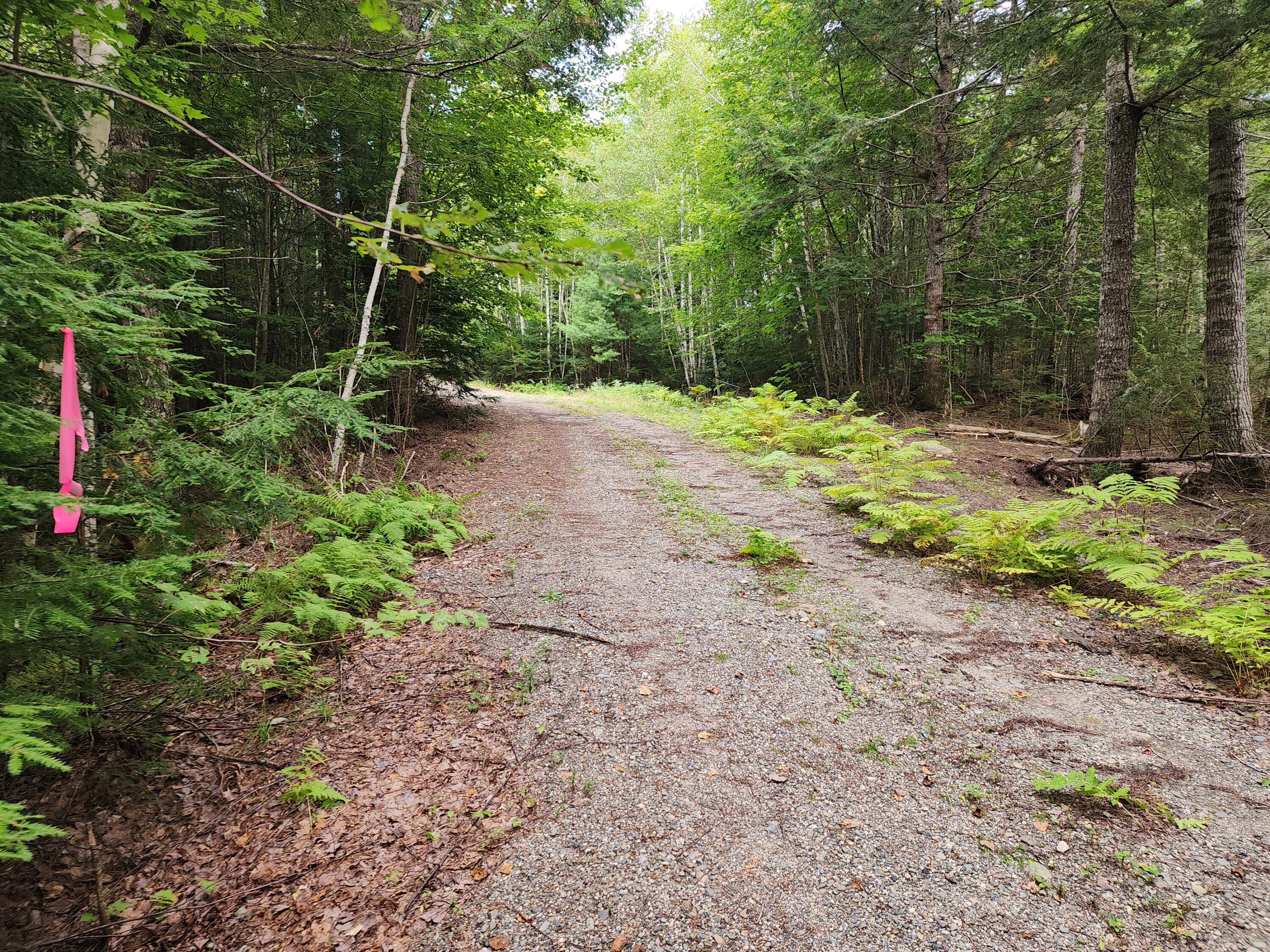 0 Cody's Lane Property Photo 6