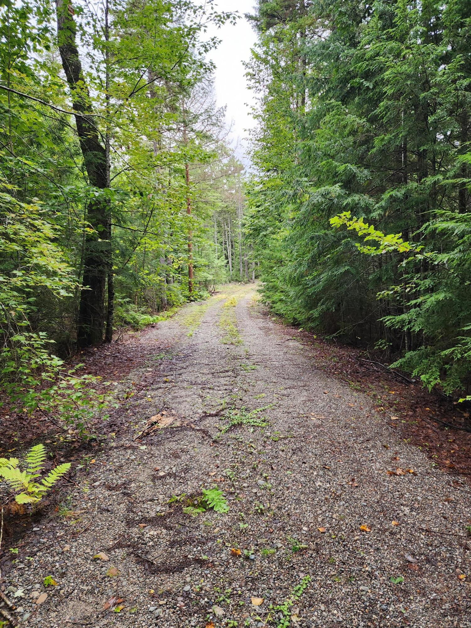 0 Cody's Lane Property Photo 7