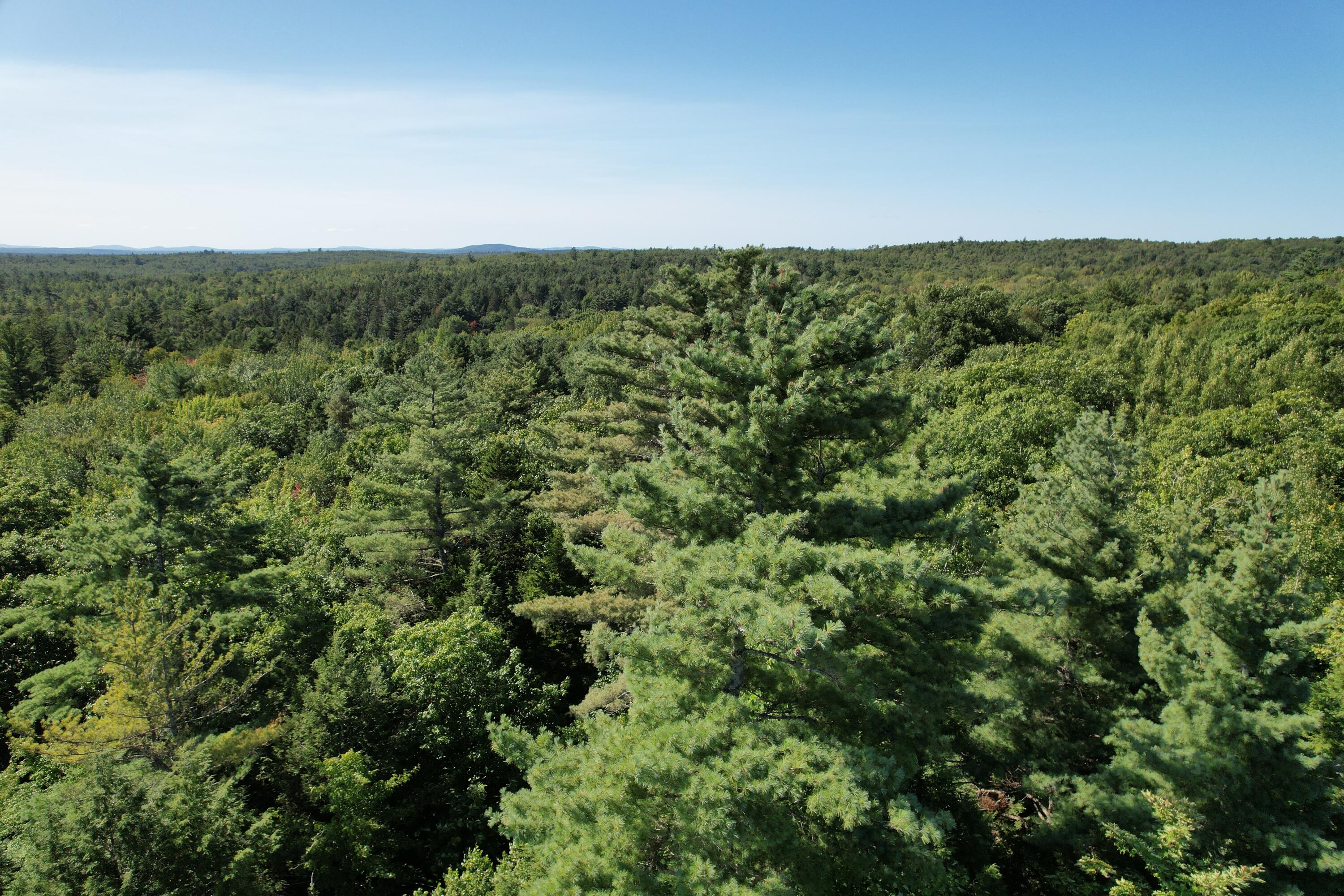 Lot 53 Robb Hill Road Property Photo 1
