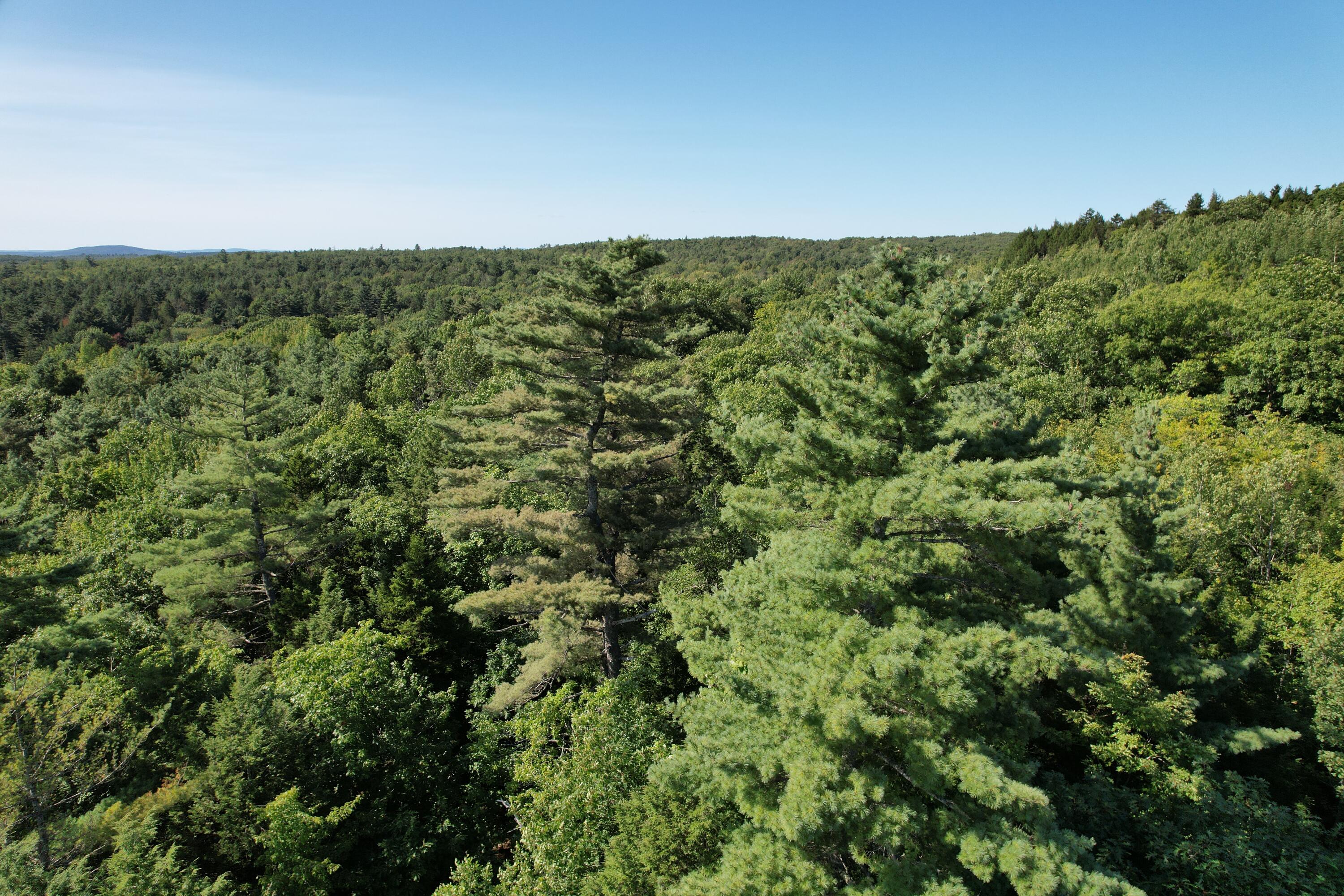 Lot 53 Robb Hill Road Property Photo 2