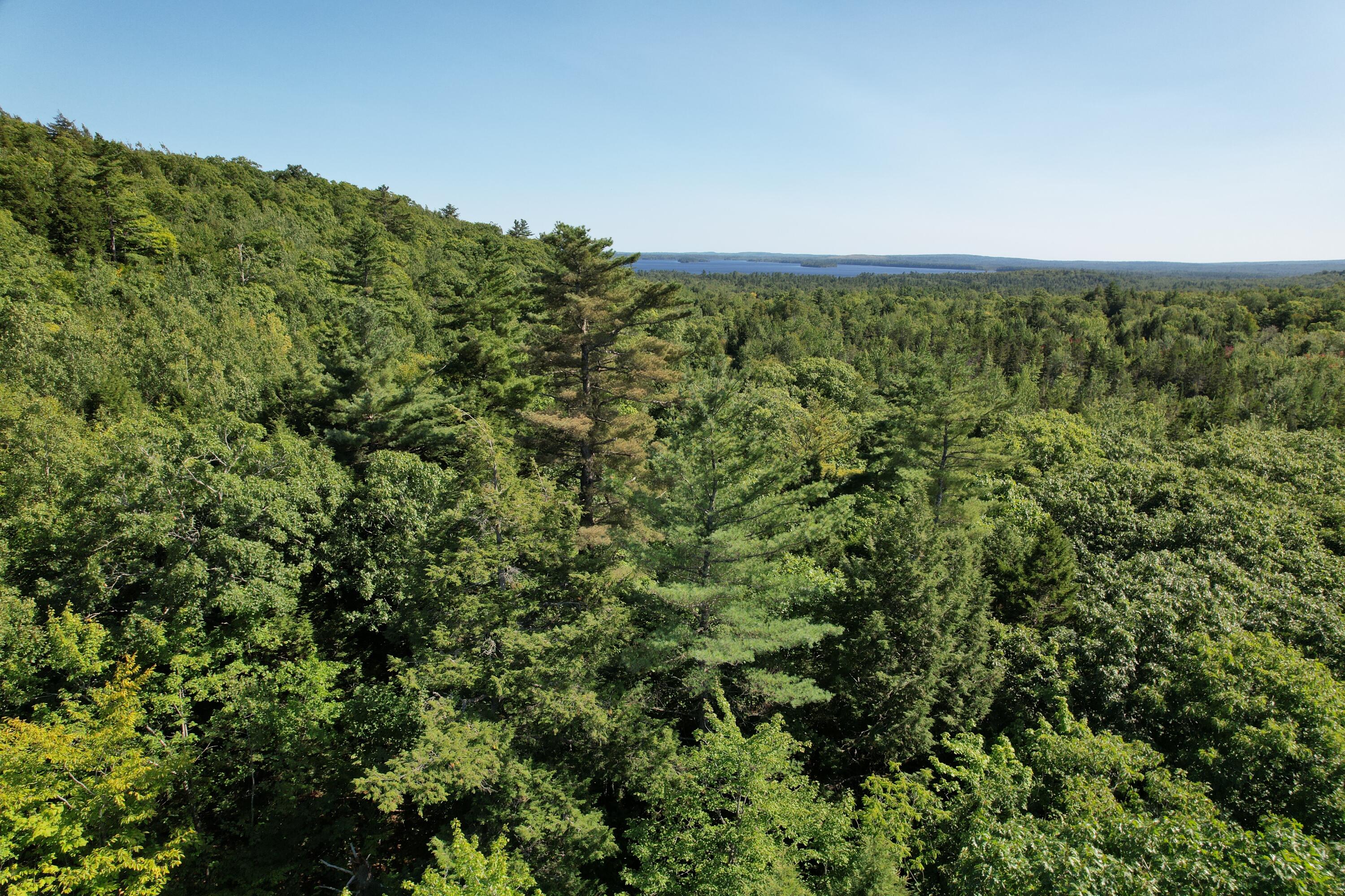 Lot 53 Robb Hill Road Property Photo 3