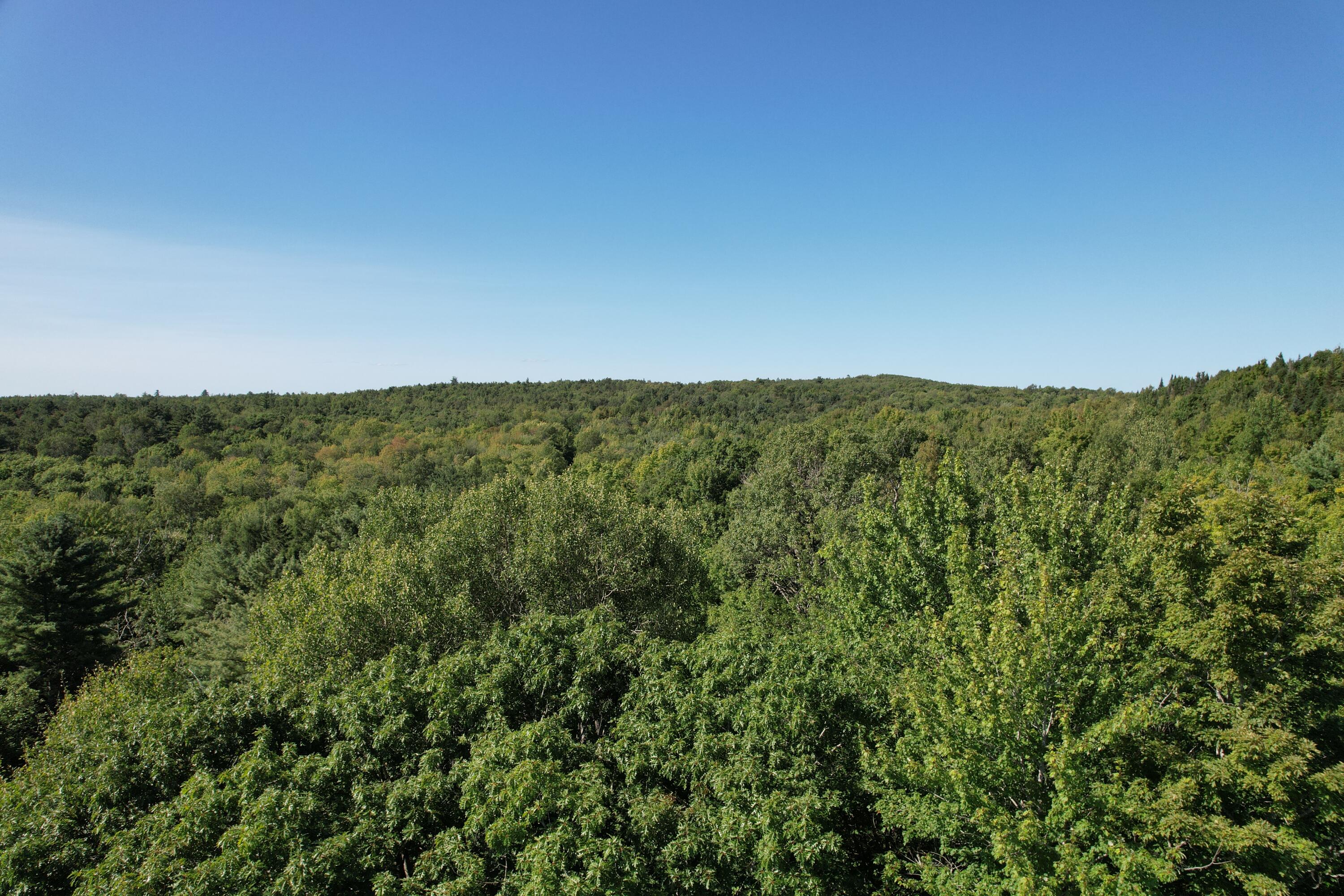 Lot 53 Robb Hill Road Property Photo 4