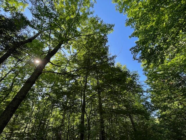 Lot 53 Robb Hill Road Property Photo 5