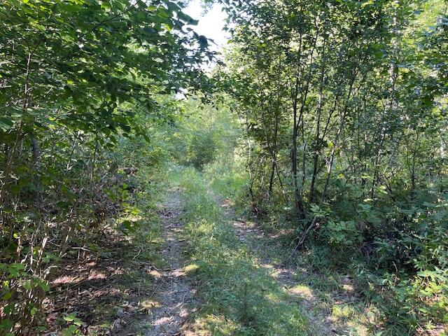 Lot 53 Robb Hill Road Property Photo 13