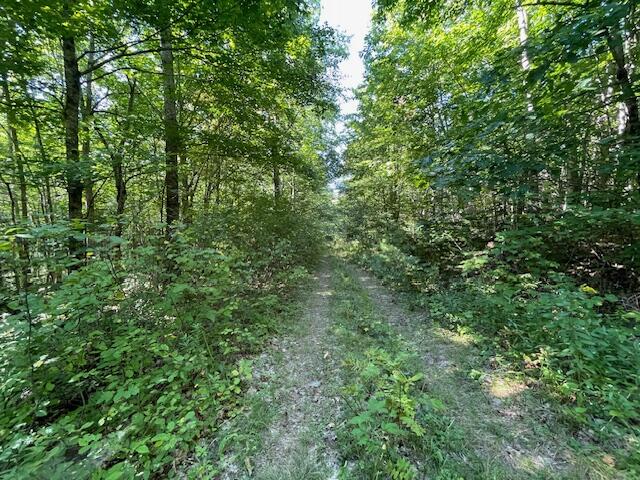 Lot 53 Robb Hill Road Property Photo 14