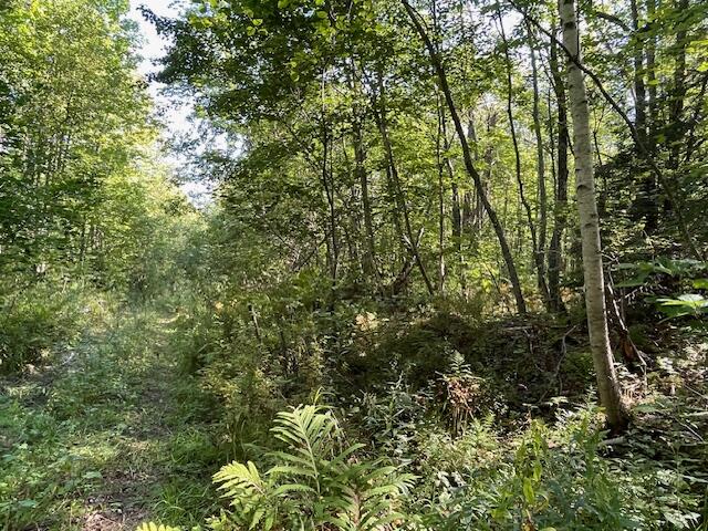 Lot 53 Robb Hill Road Property Photo 20