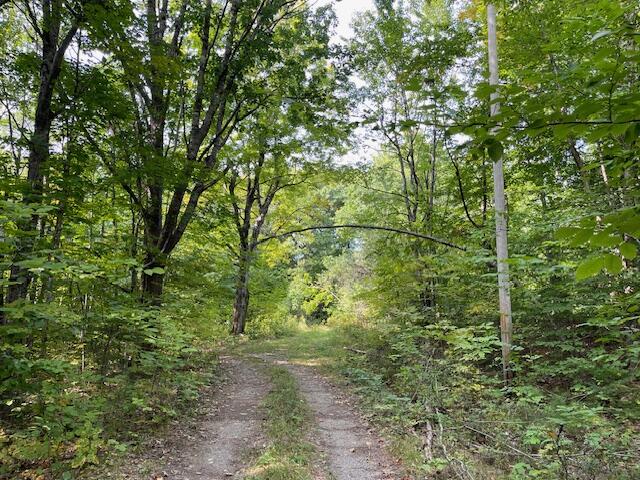 Lot 53 Robb Hill Road Property Photo 21